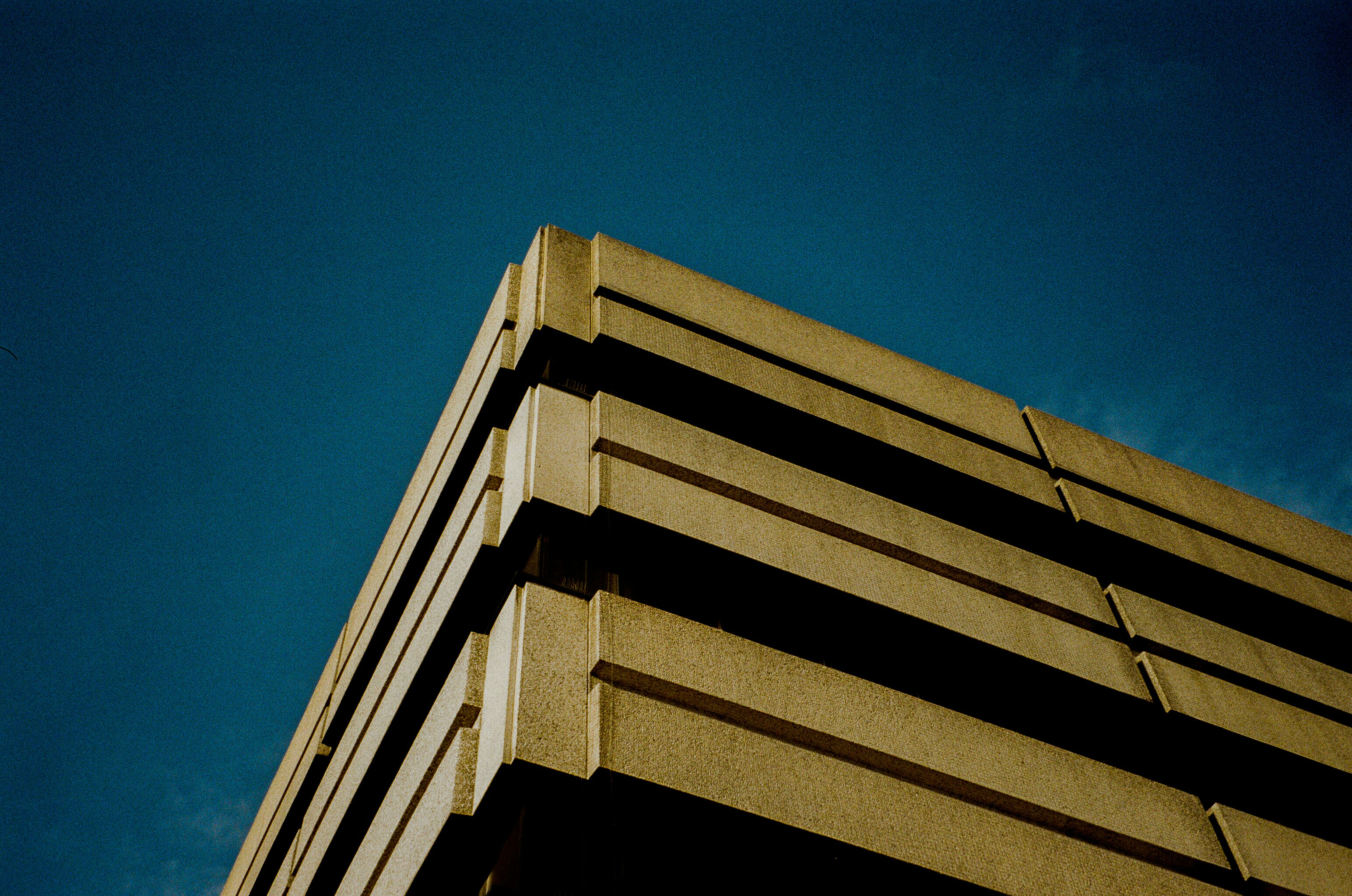 New Hope for MS: Exploring the Benefits of NUN-004