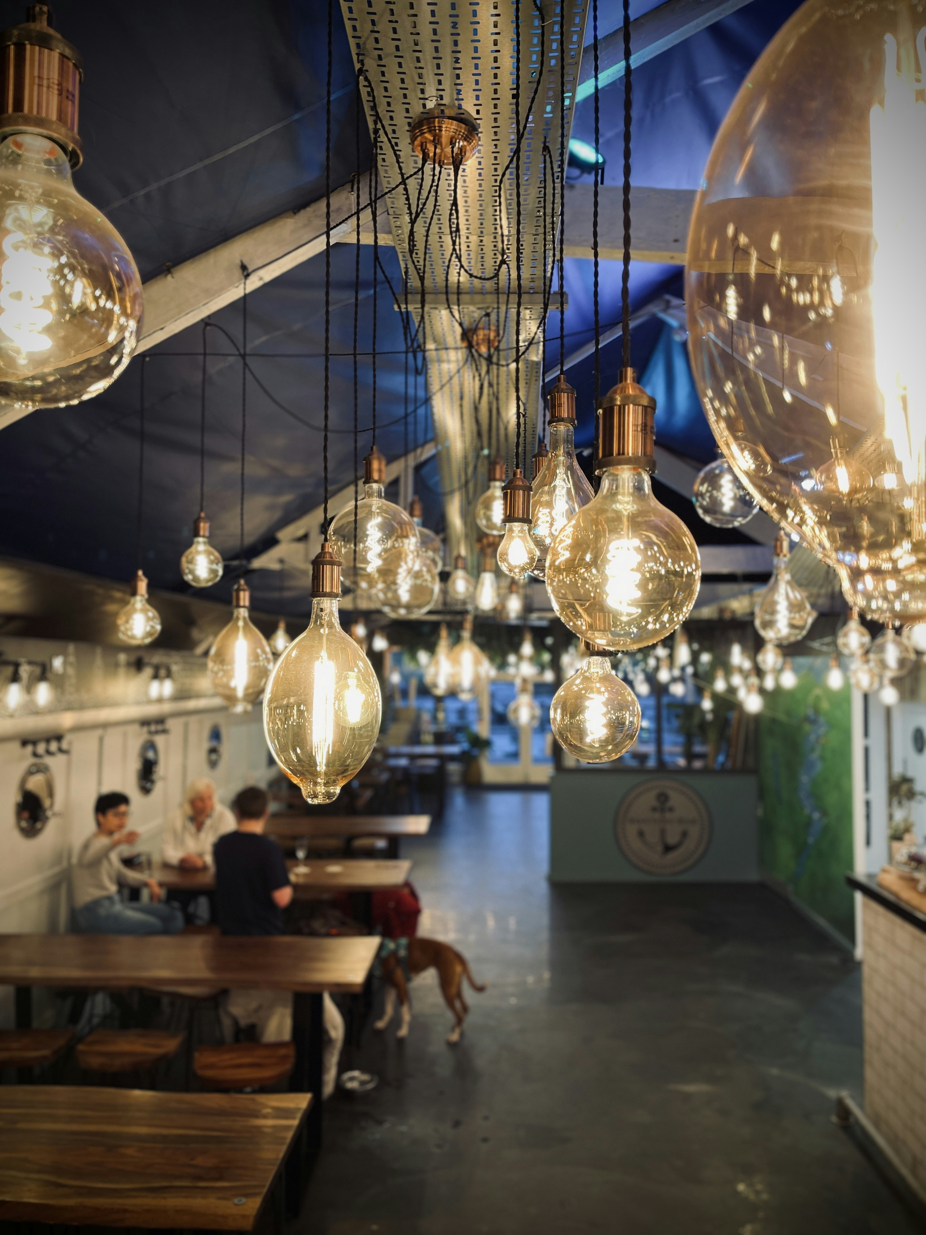  Paws and Plates: Cow Hollow's Top Pet-Friendly Dining Spots