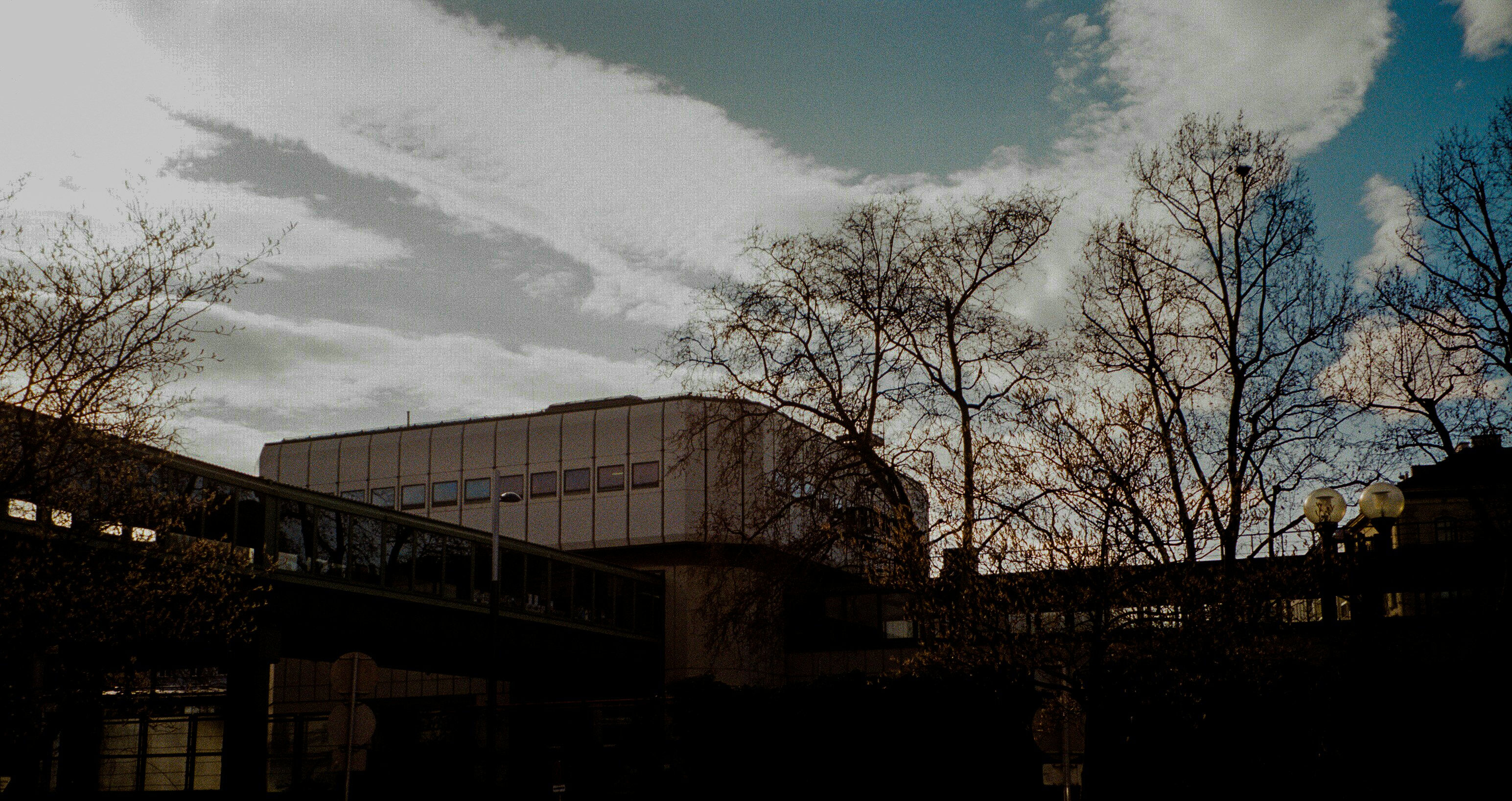 Photo by fionafrommelt