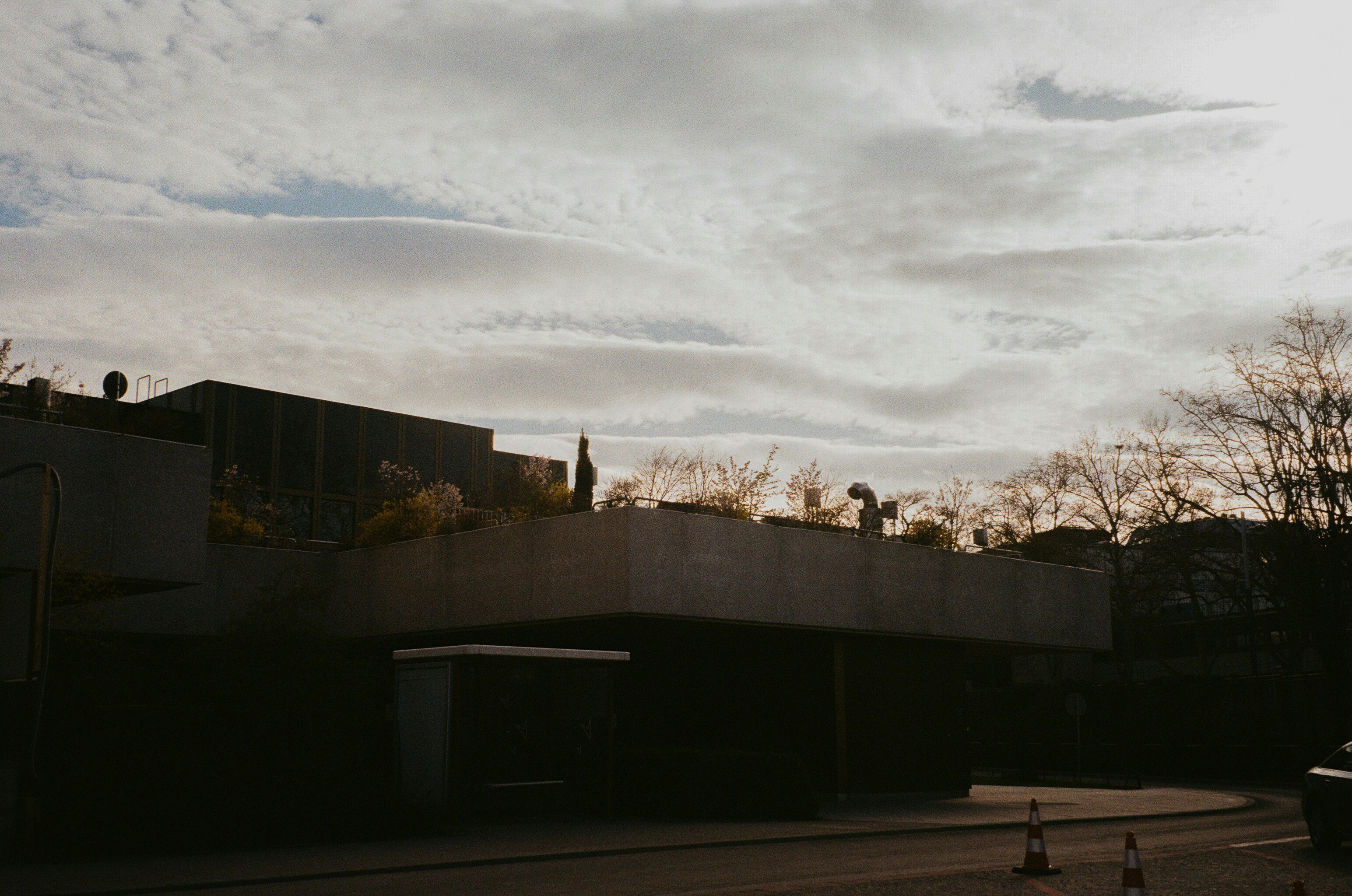 Photo by fionafrommelt