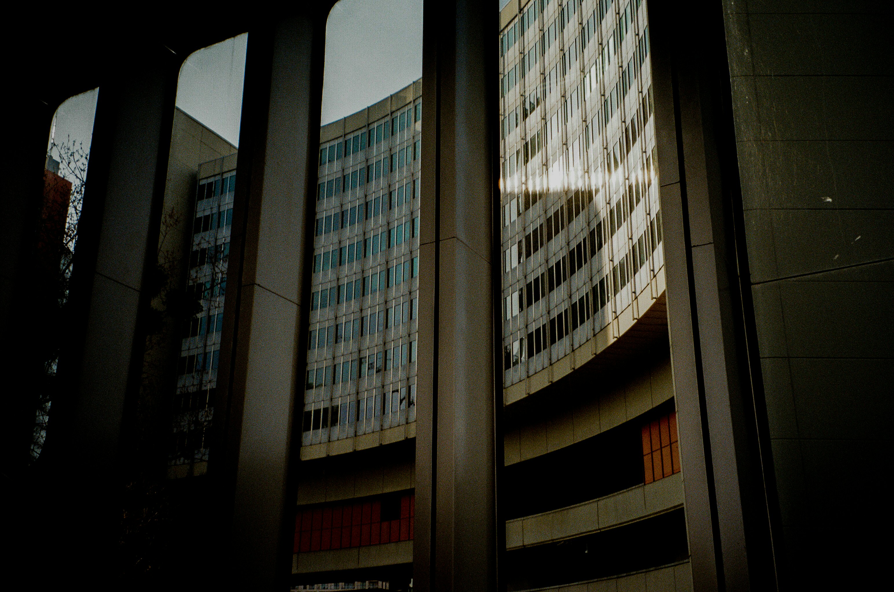 Photo by fionafrommelt