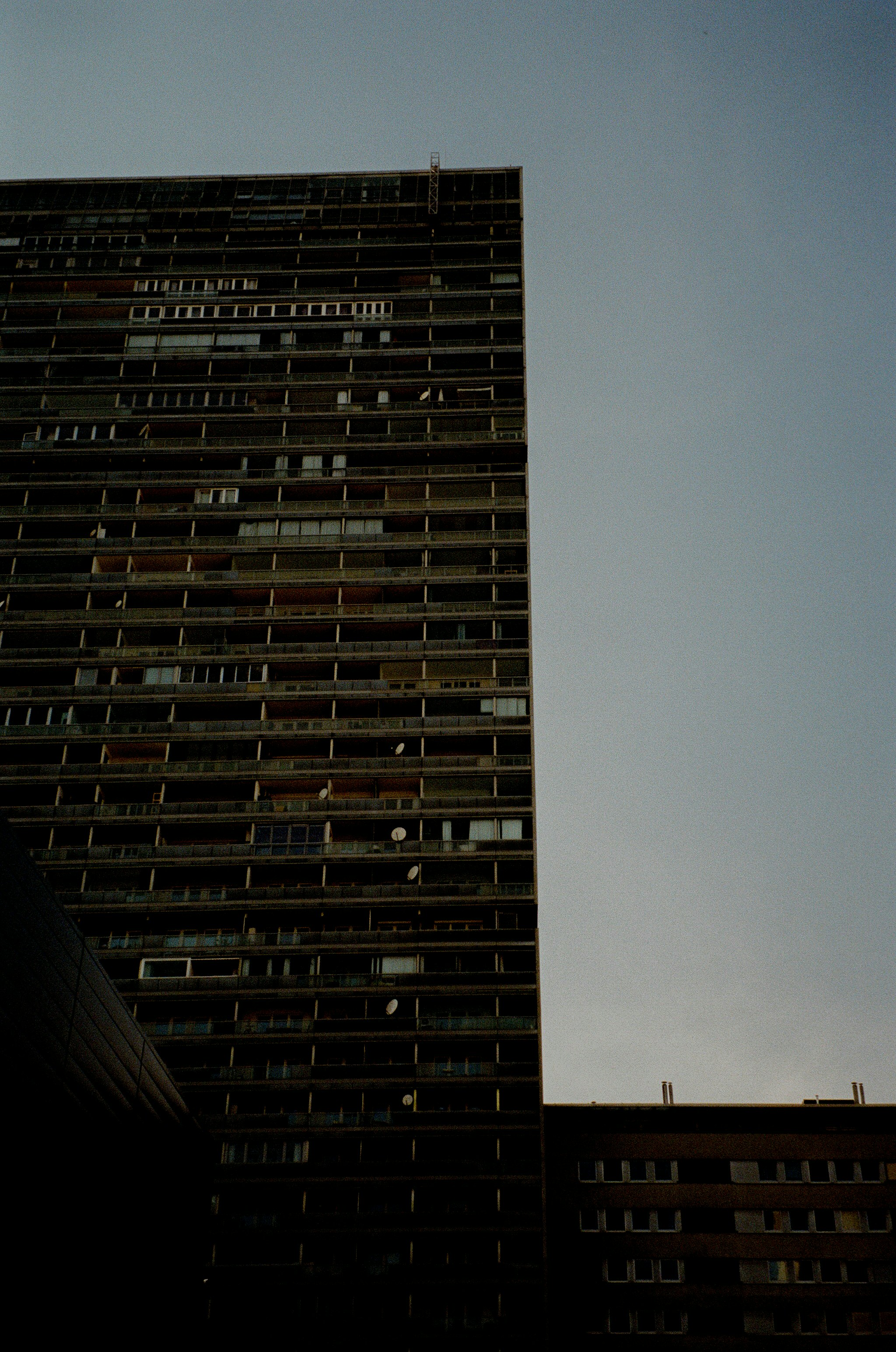 Photo by fionafrommelt