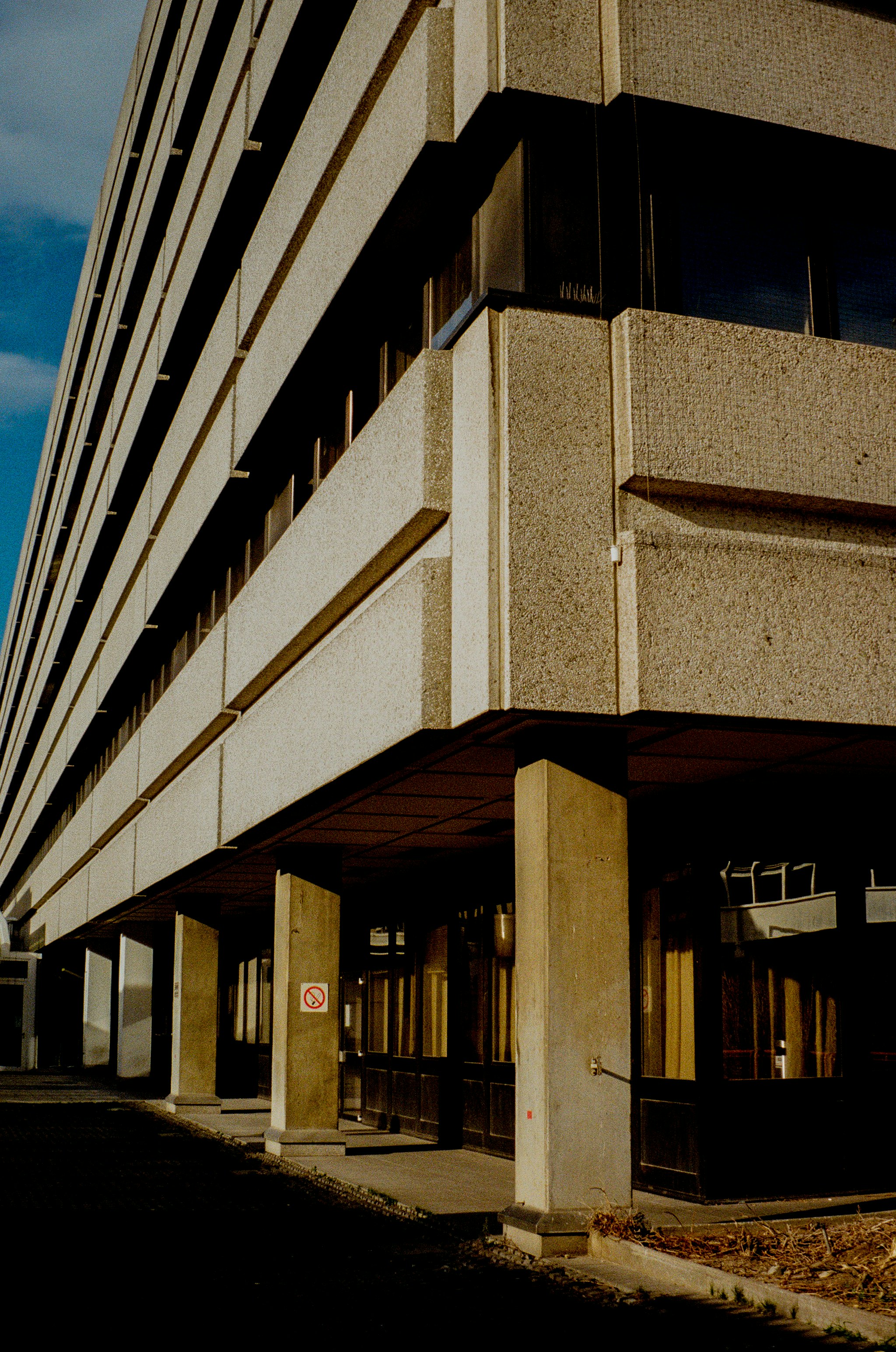 Photo by fionafrommelt