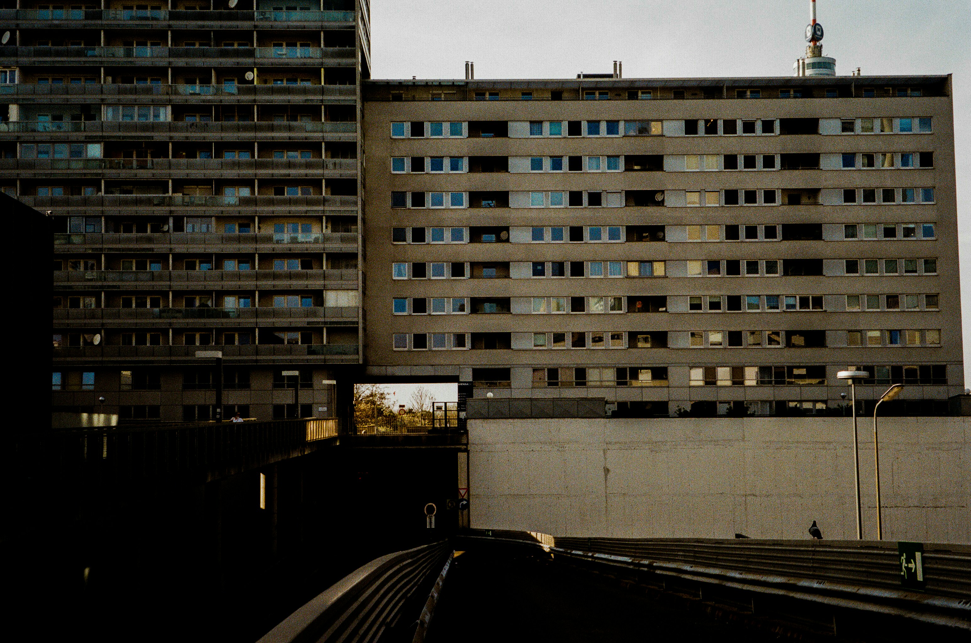 Photo by fionafrommelt