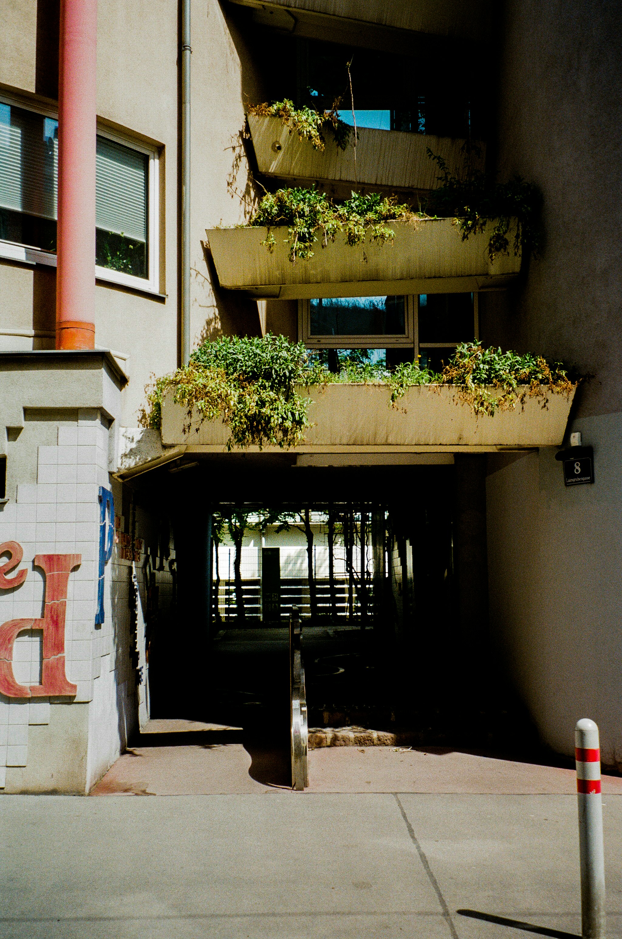 Photo by fionafrommelt