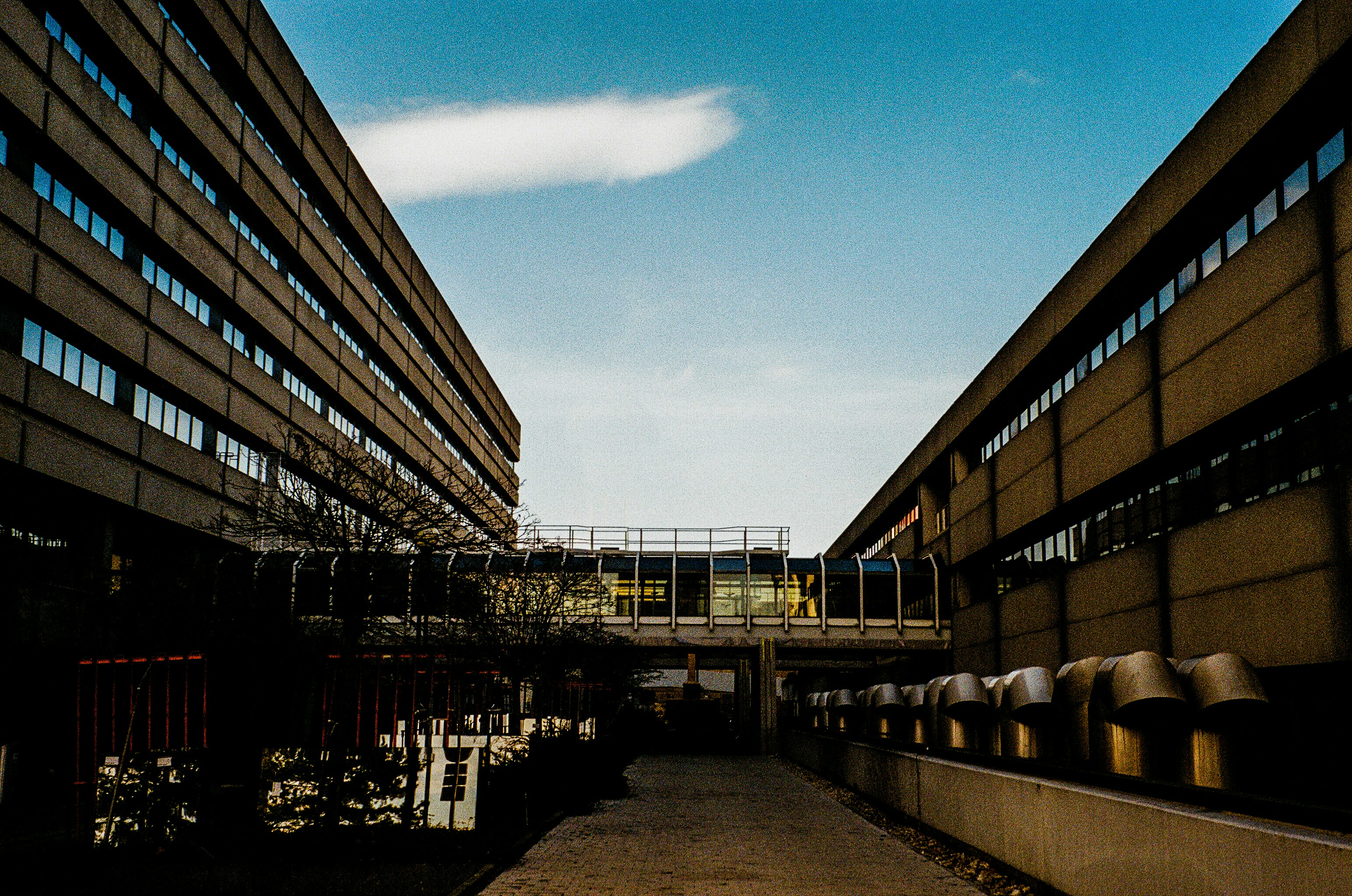 Photo by fionafrommelt