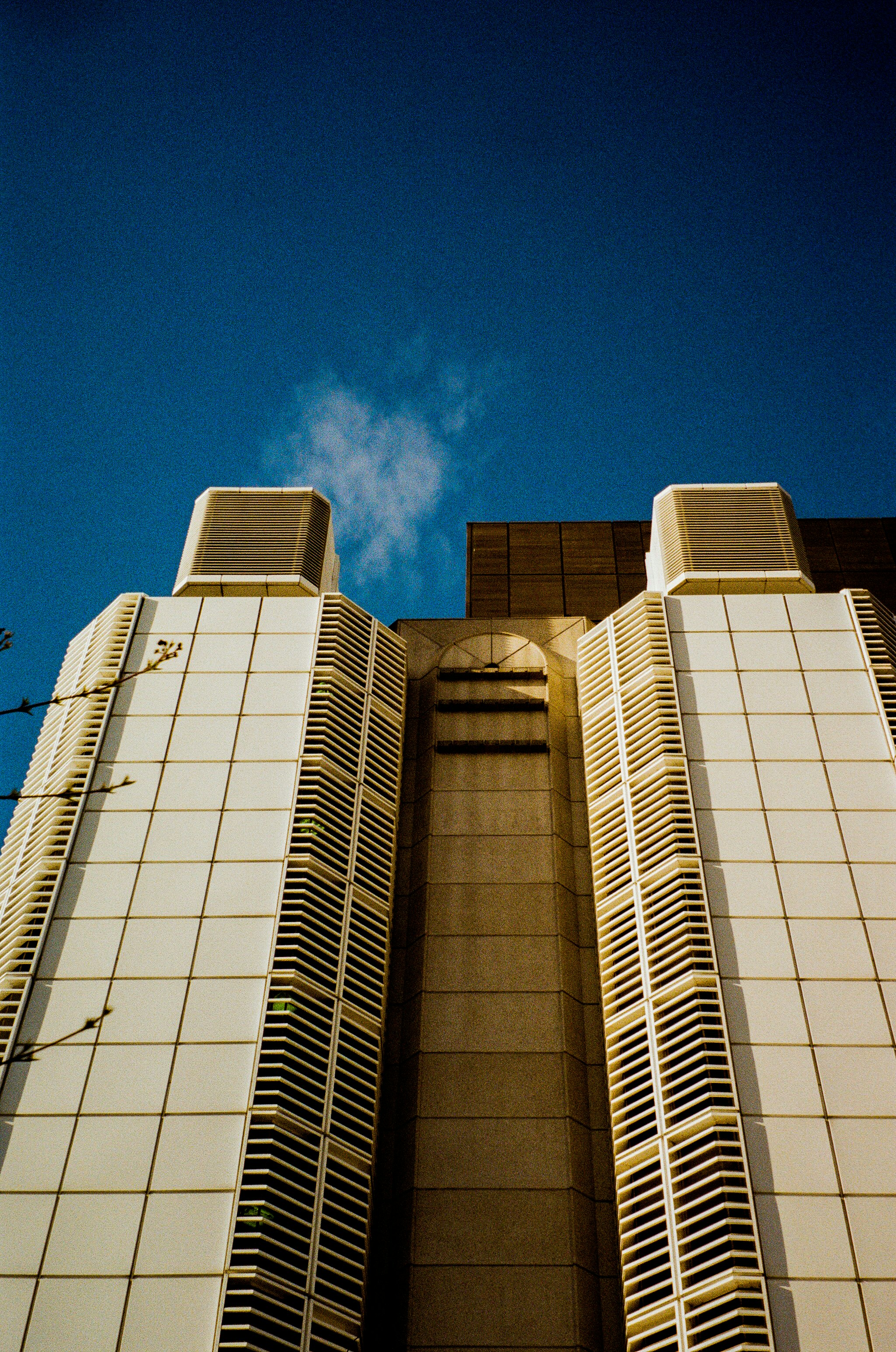 Understanding Ocrelizumab: Key Insights for MS Patients