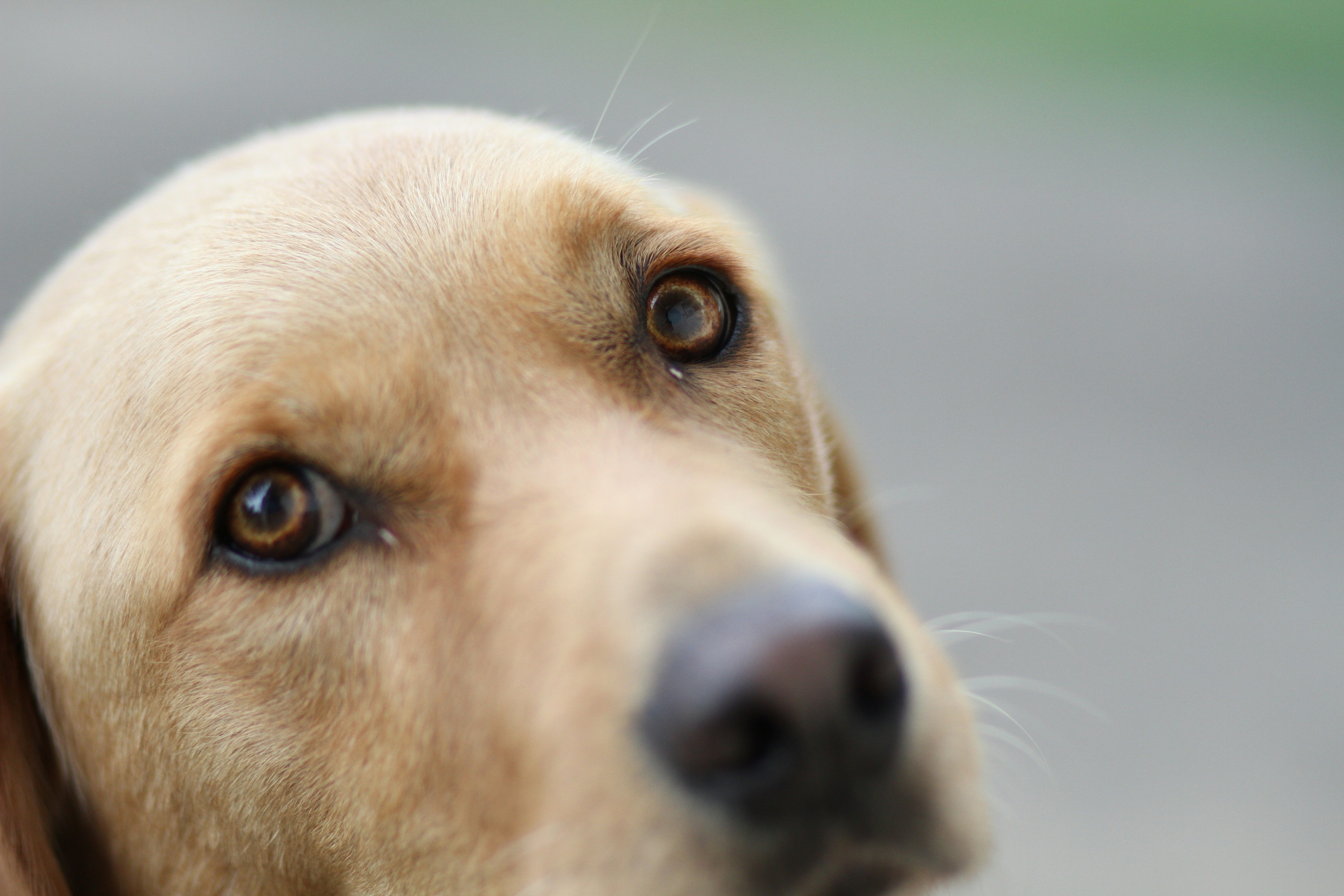 Photo by sarah_squirrel77