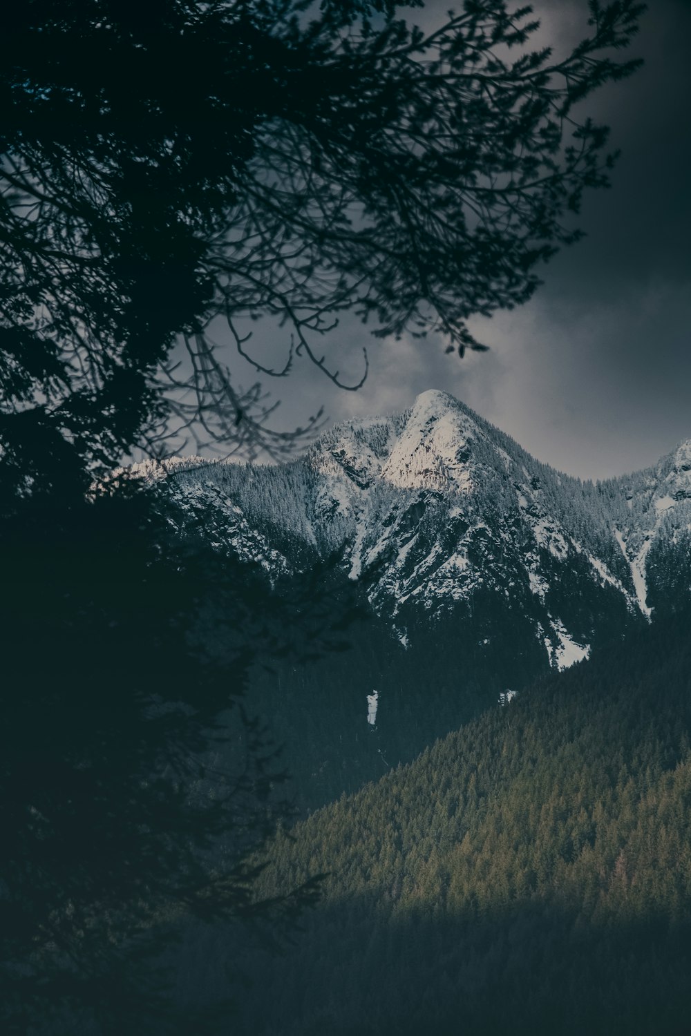 a view of a mountain range from a distance