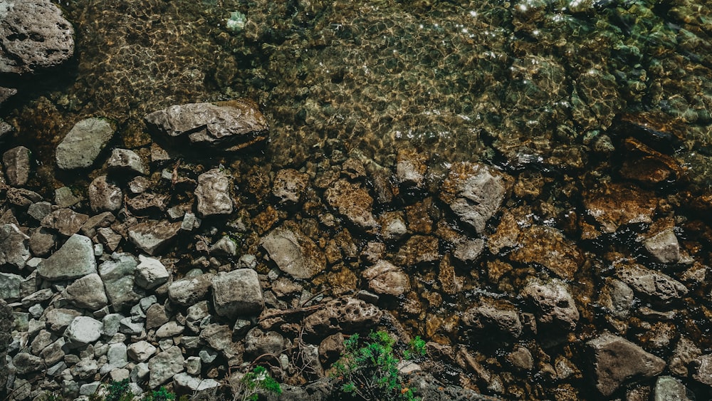 a rock wall with moss growing on it