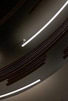 Curved, modern architectural ceiling design featuring sleek linear light fixtures and suspended wooden slats.