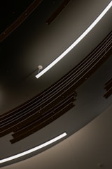 Curved, modern architectural ceiling design featuring sleek linear light fixtures and suspended wooden slats.