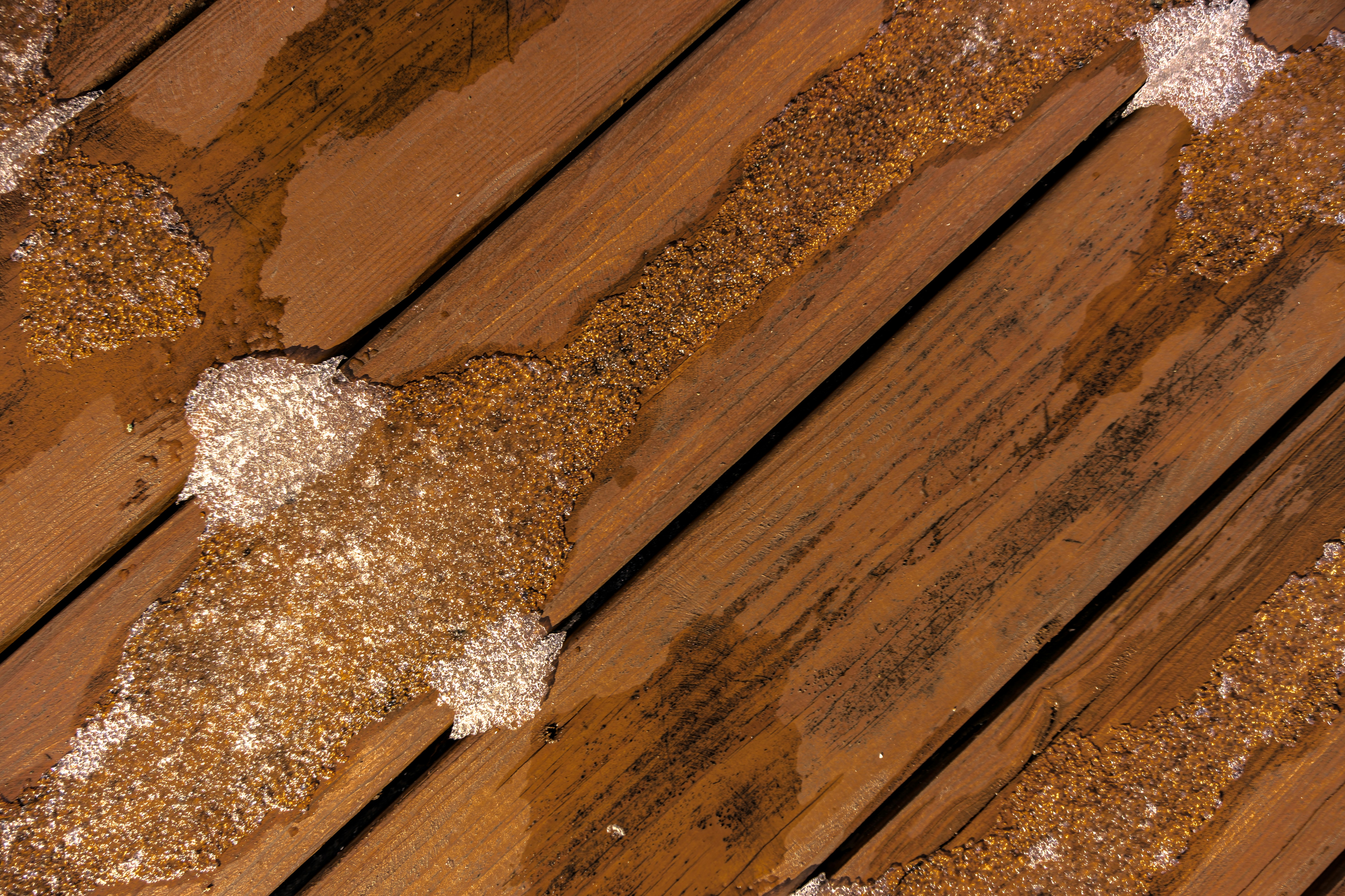 Photo by clayleconey