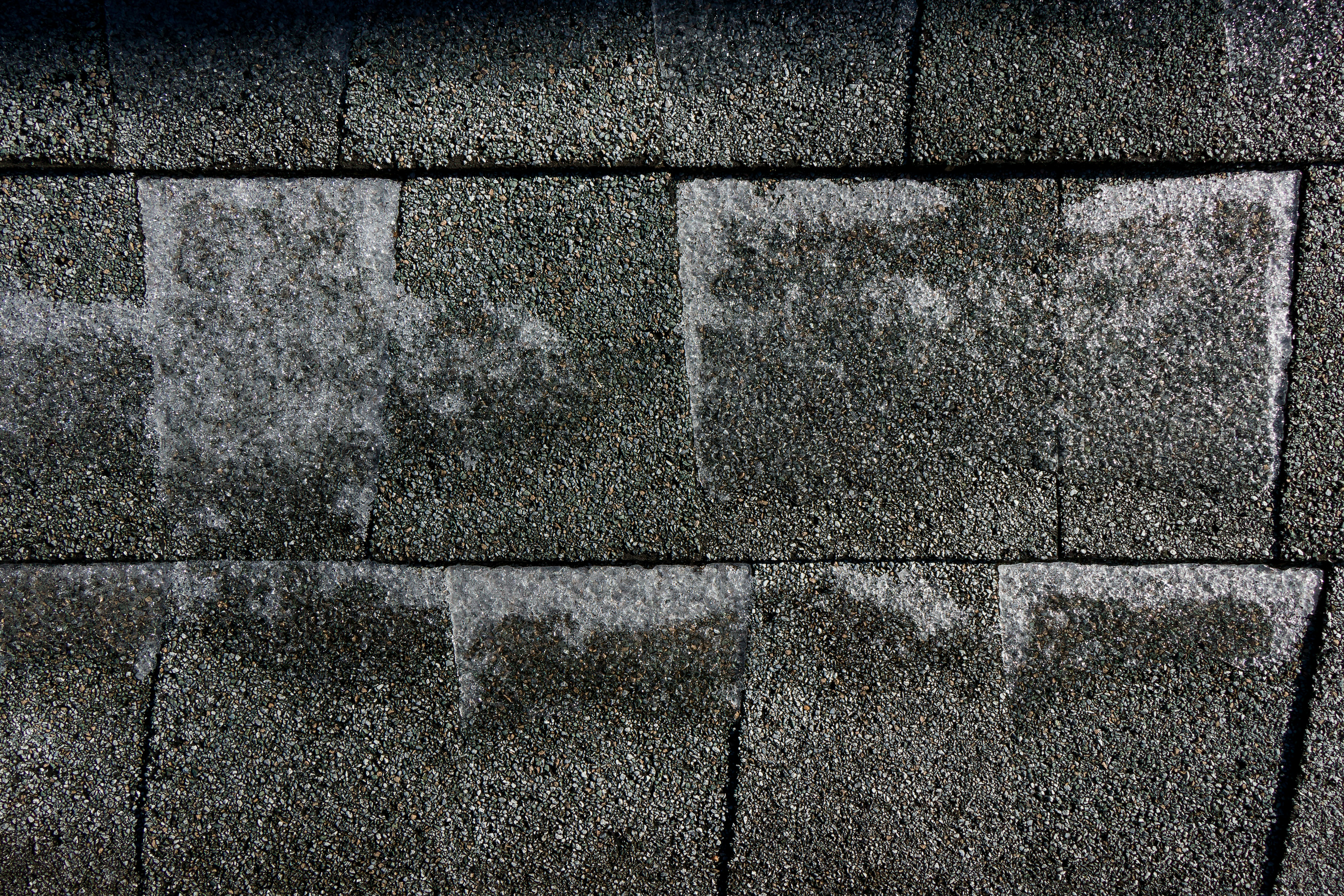 Photo by clayleconey