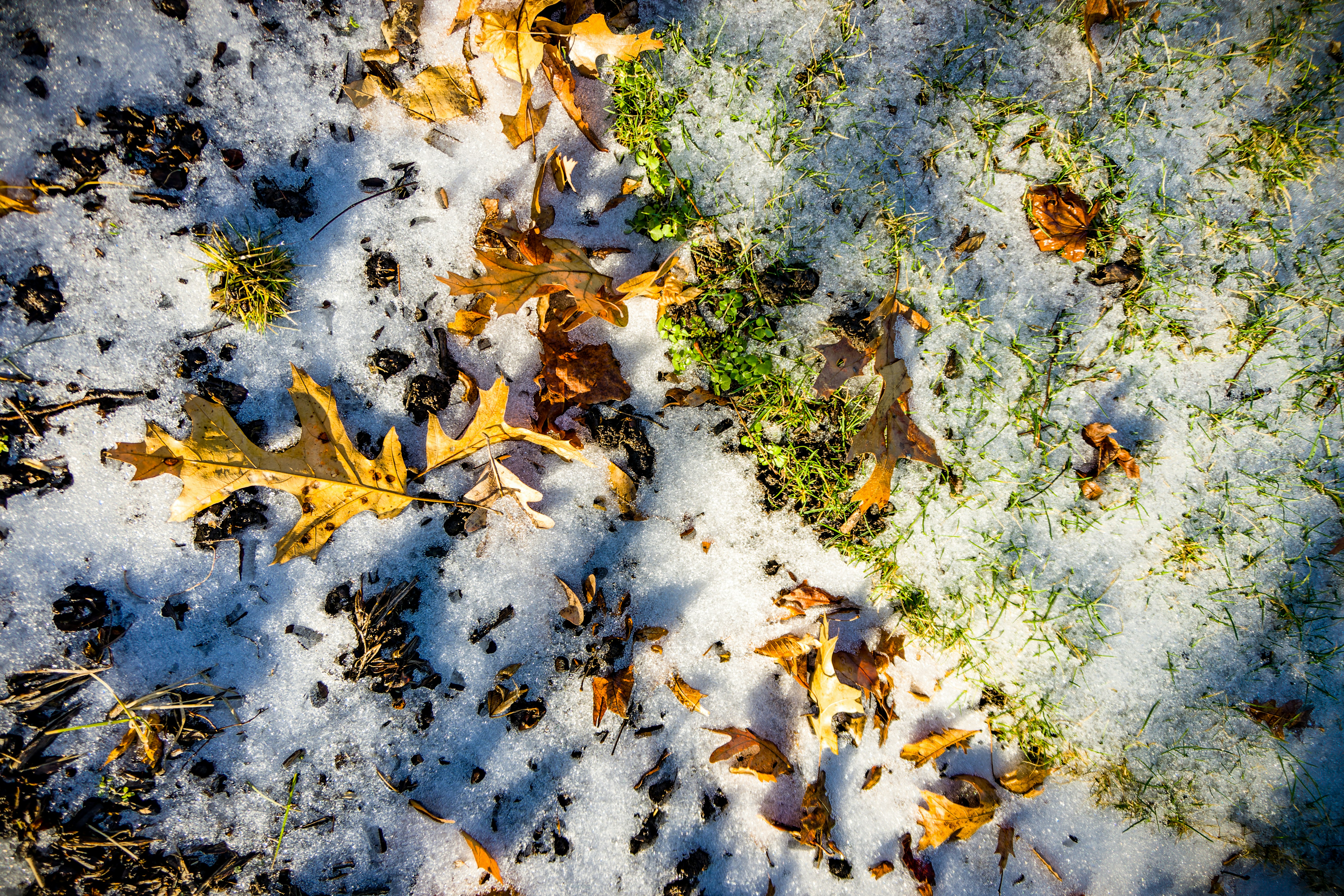 Photo by clayleconey