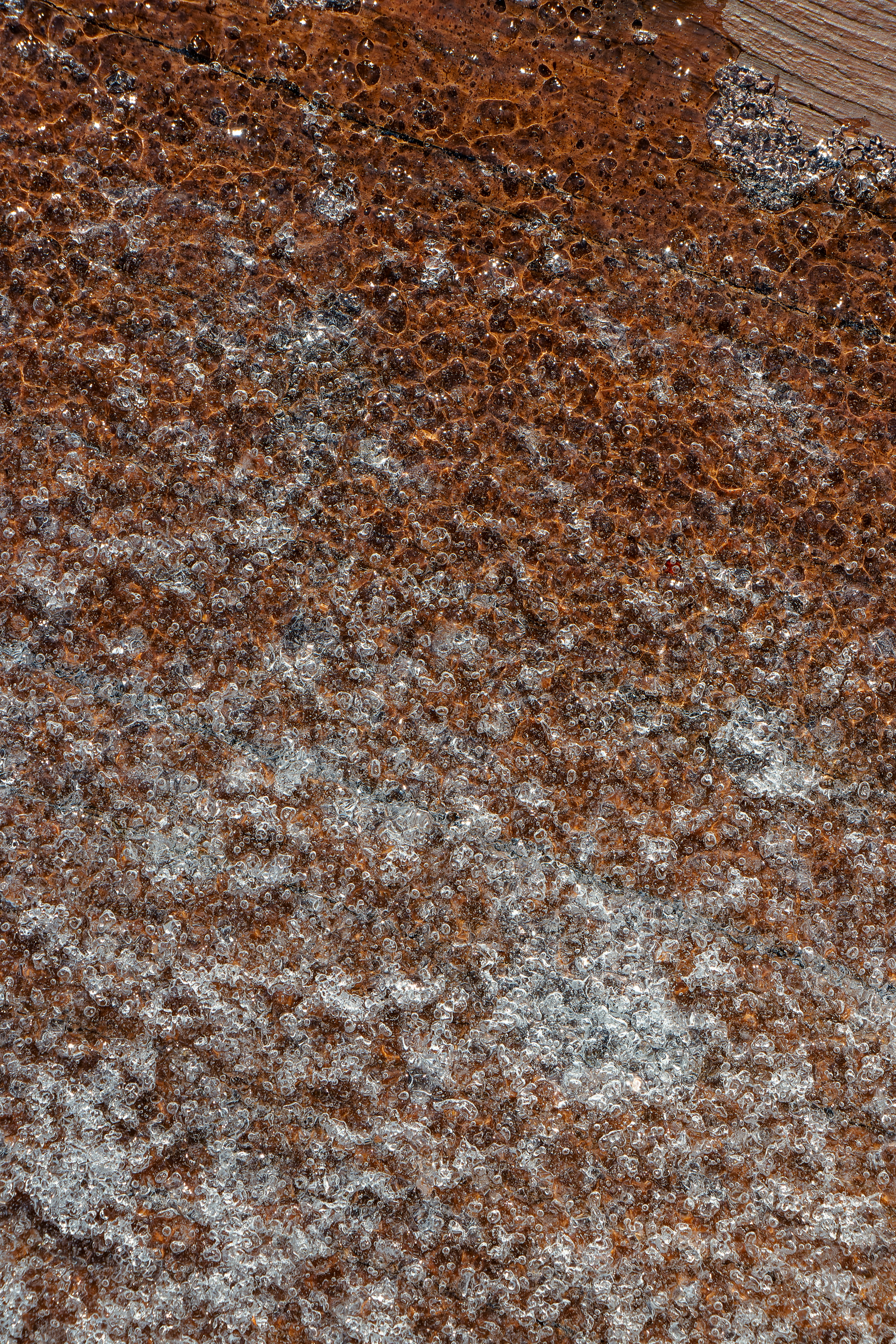 Photo by clayleconey