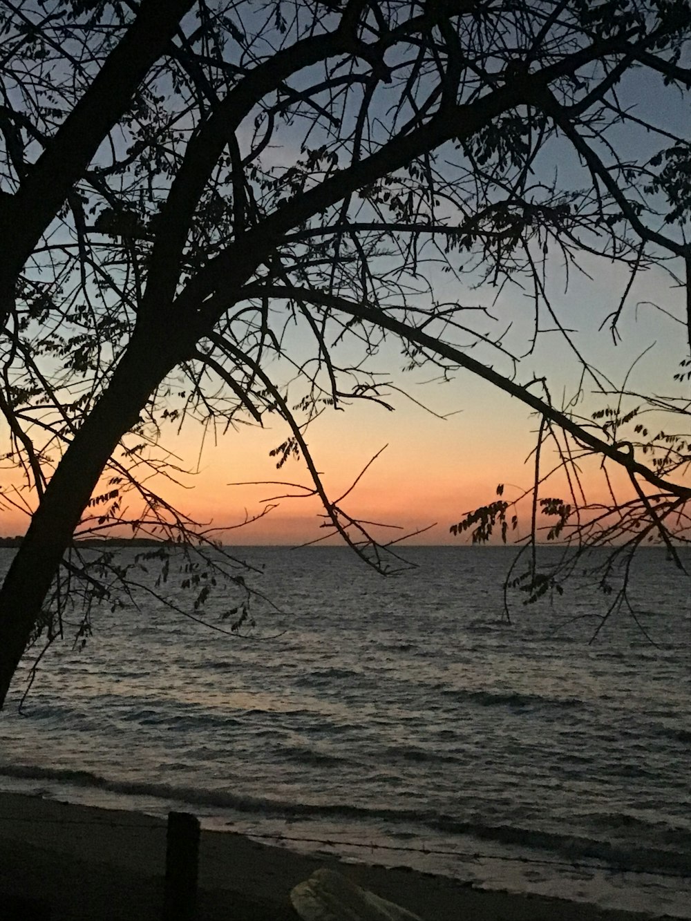 a view of the ocean from a beach at sunset