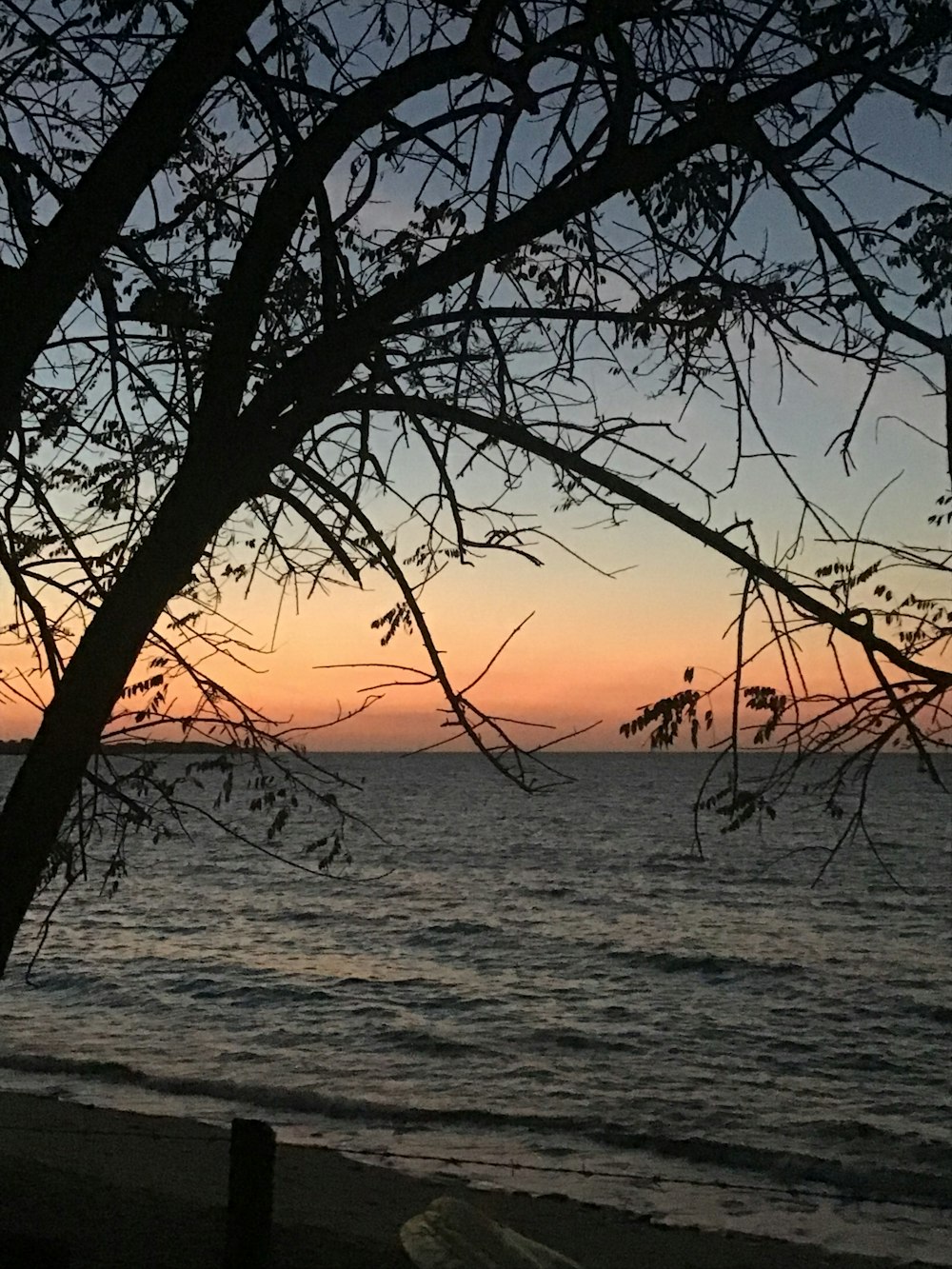 Una vista dell'oceano da una spiaggia al tramonto