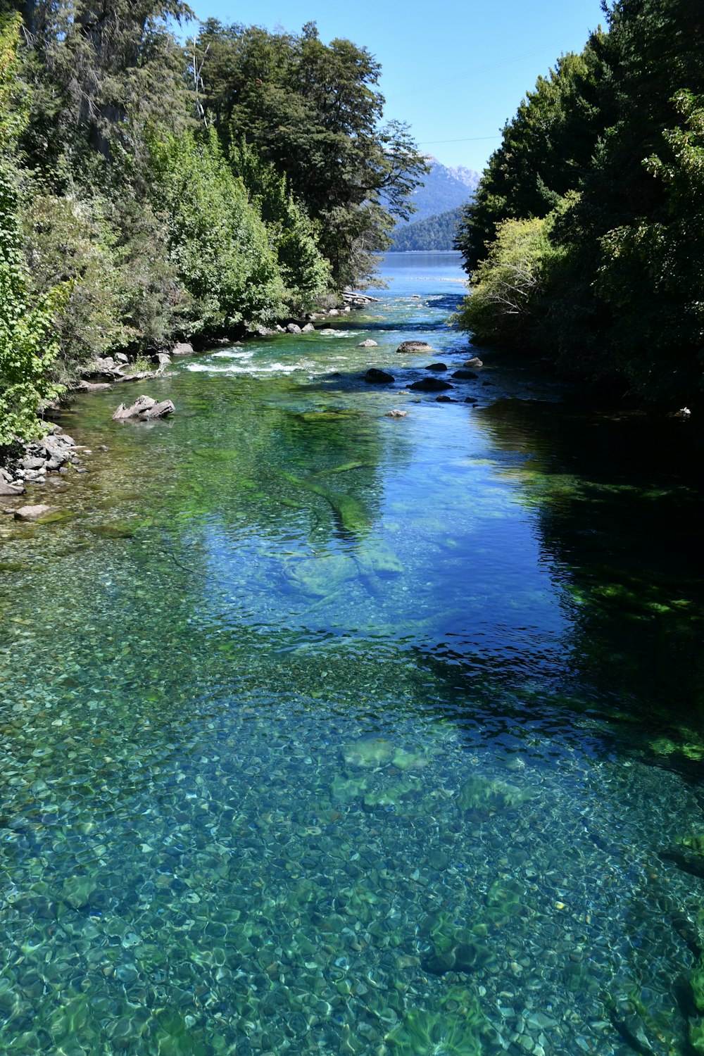 a body of water surrounded by trees and rocks