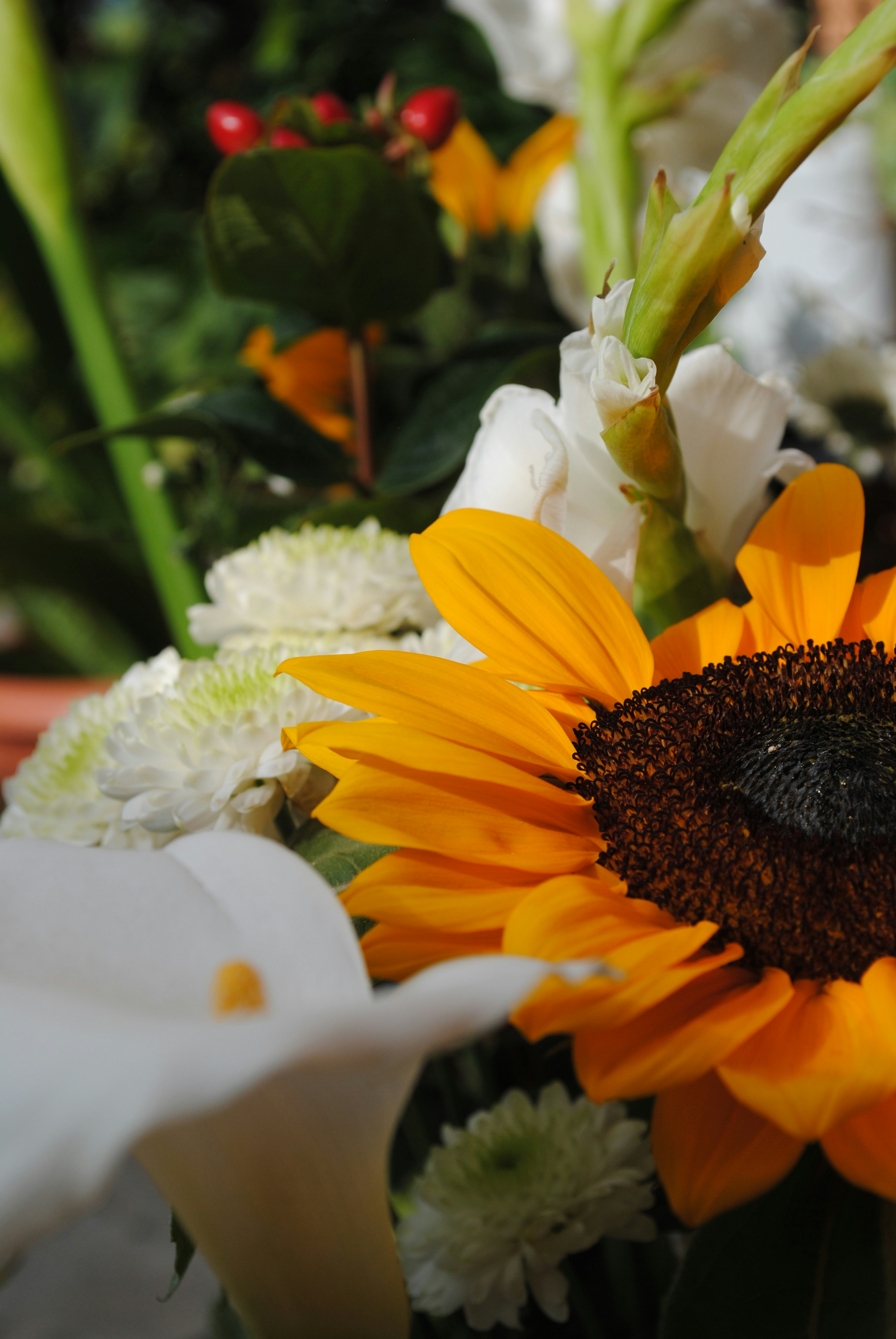 Photo by curiousjorge