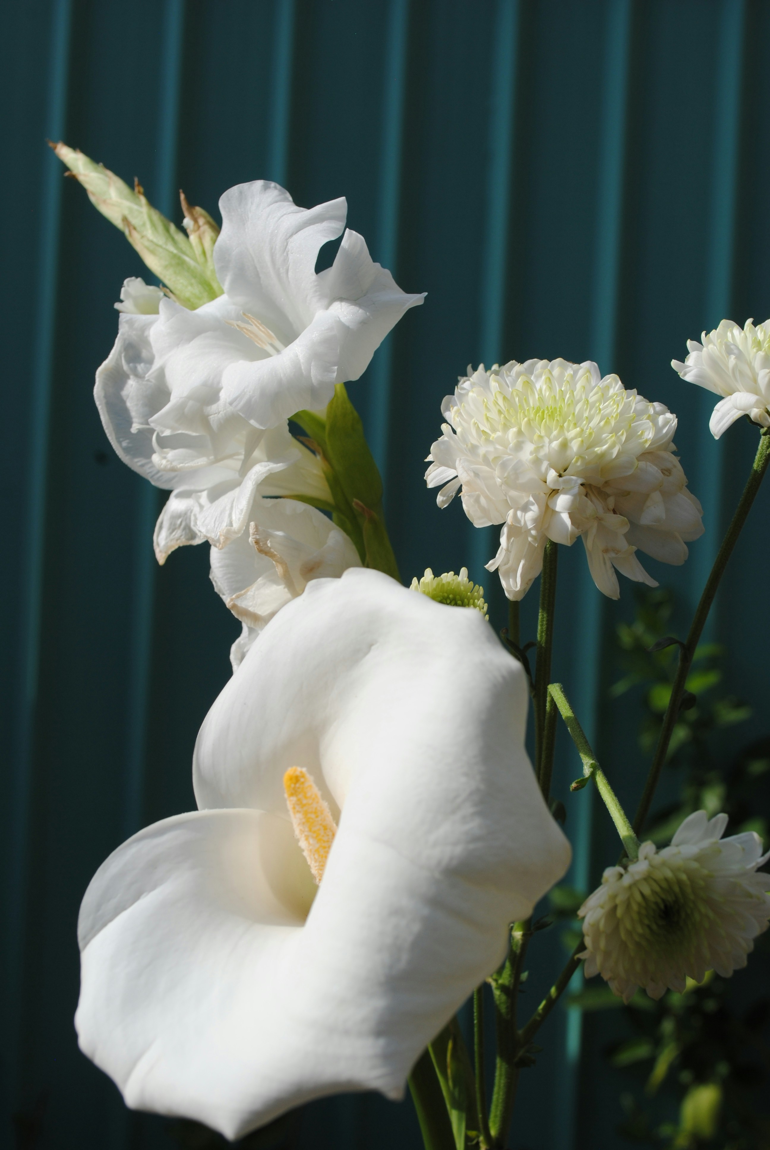 Photo by curiousjorge