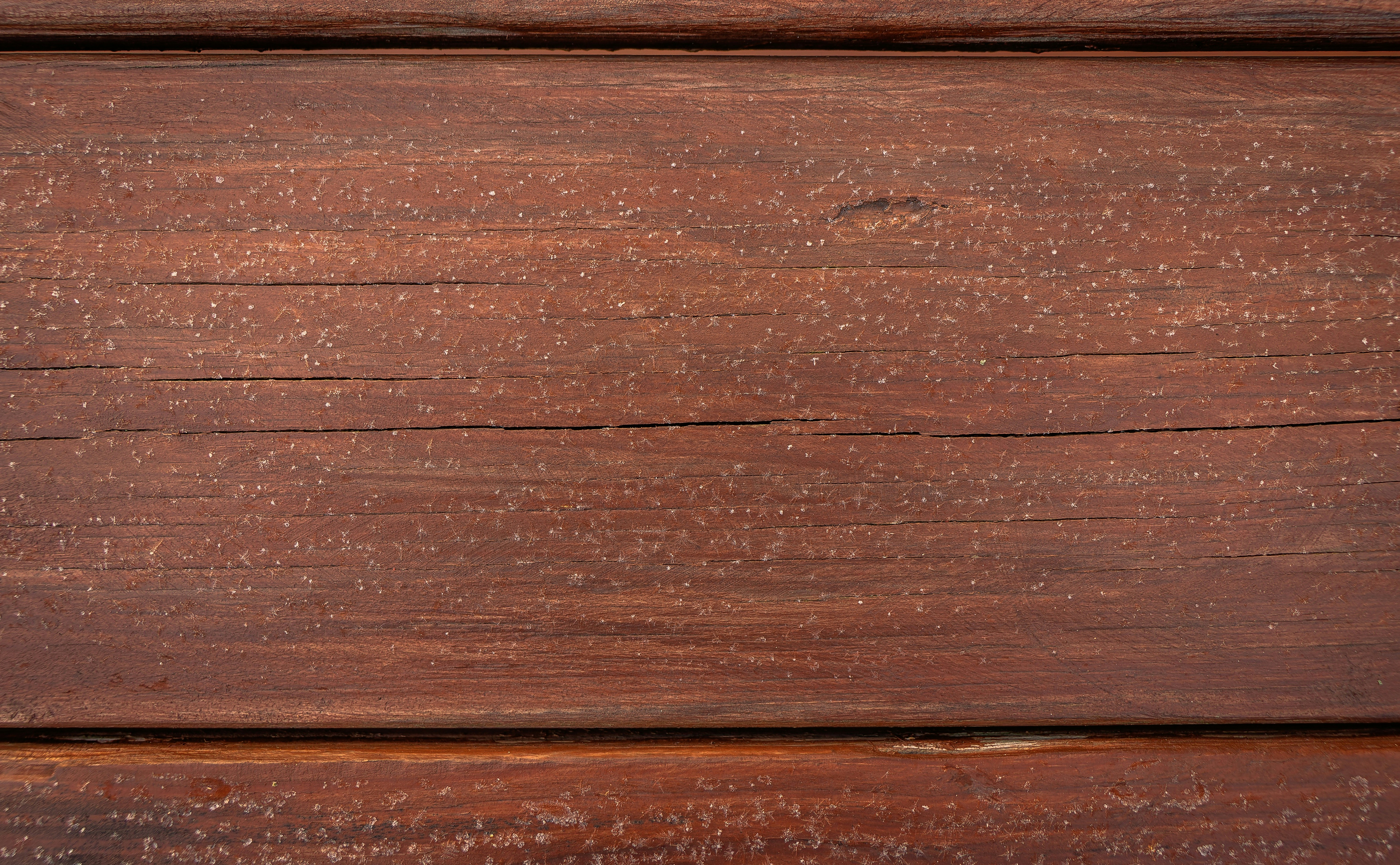 Photo by clayleconey