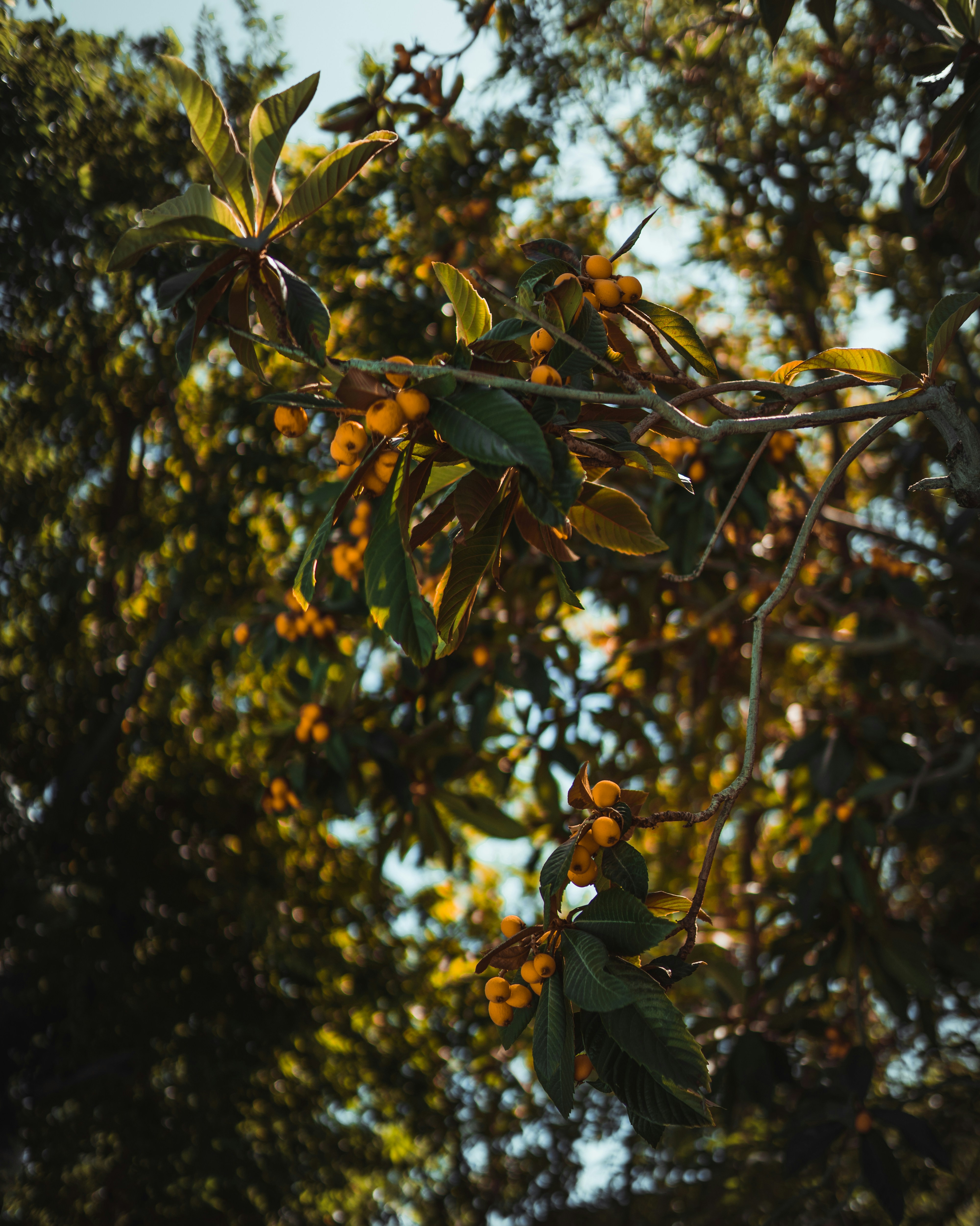 Photo by heyitsjamaal