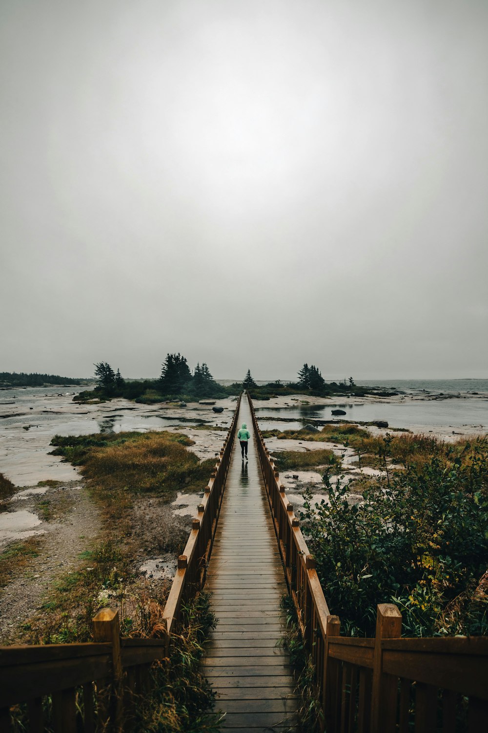 a person walking down a wooden bridge over a body of water