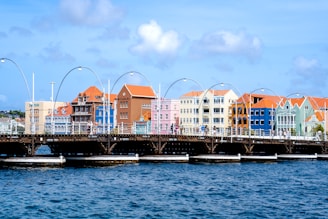 a bridge over a body of water with buildings in the background