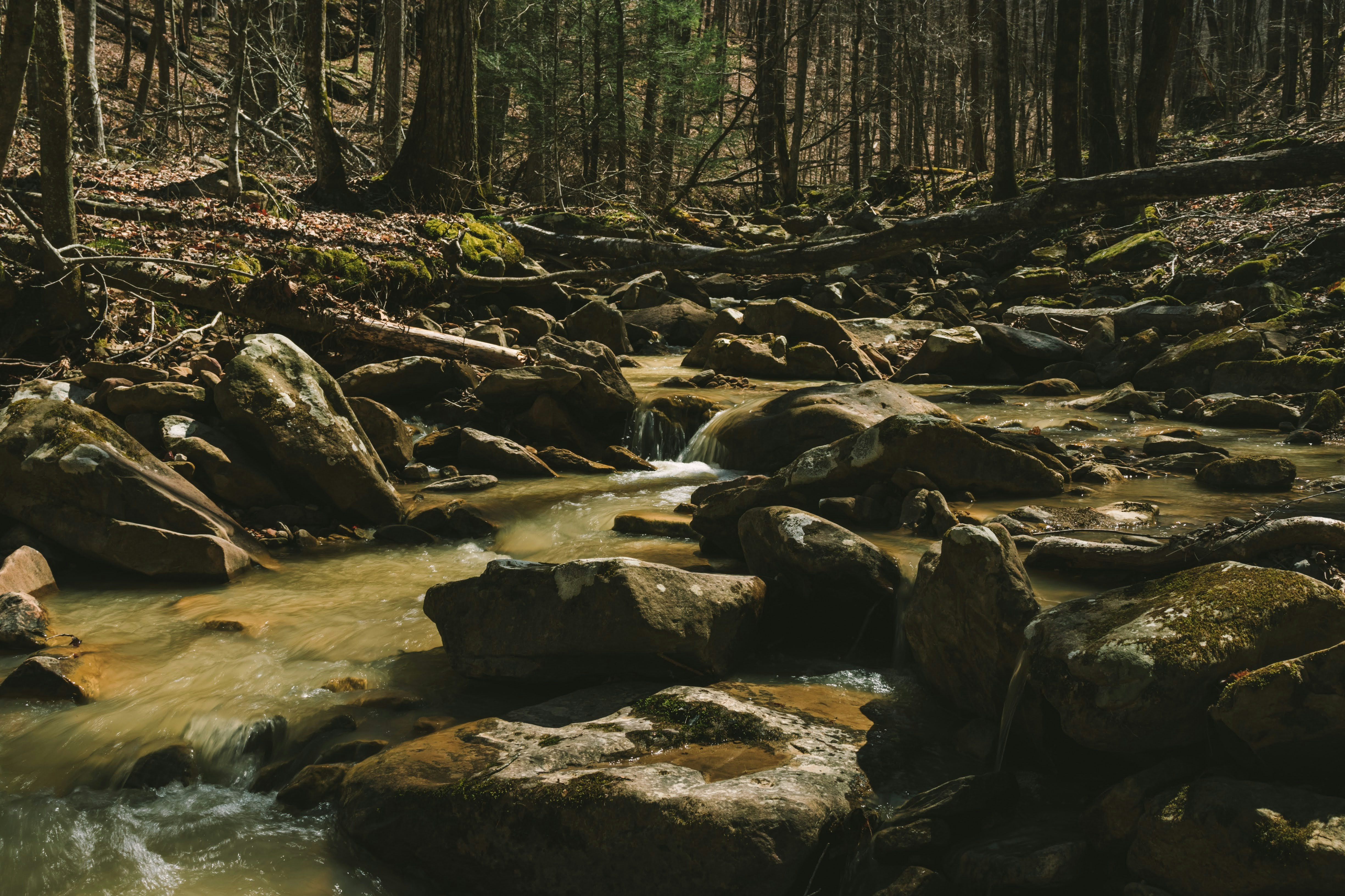 Photo by brice_cooper18