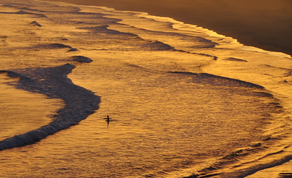 a person standing on a beach next to the ocean