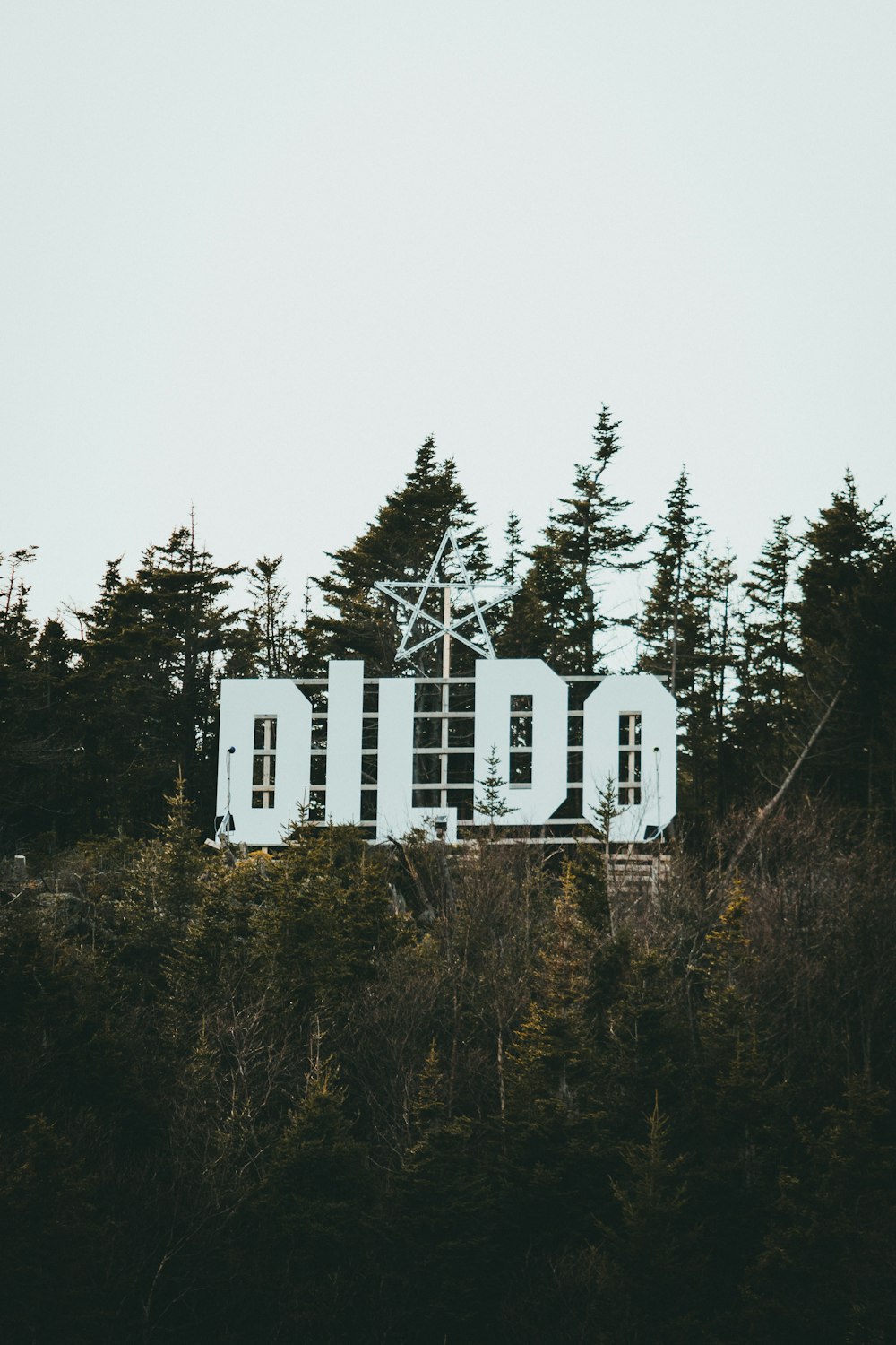 a large white sign sitting on top of a lush green forest