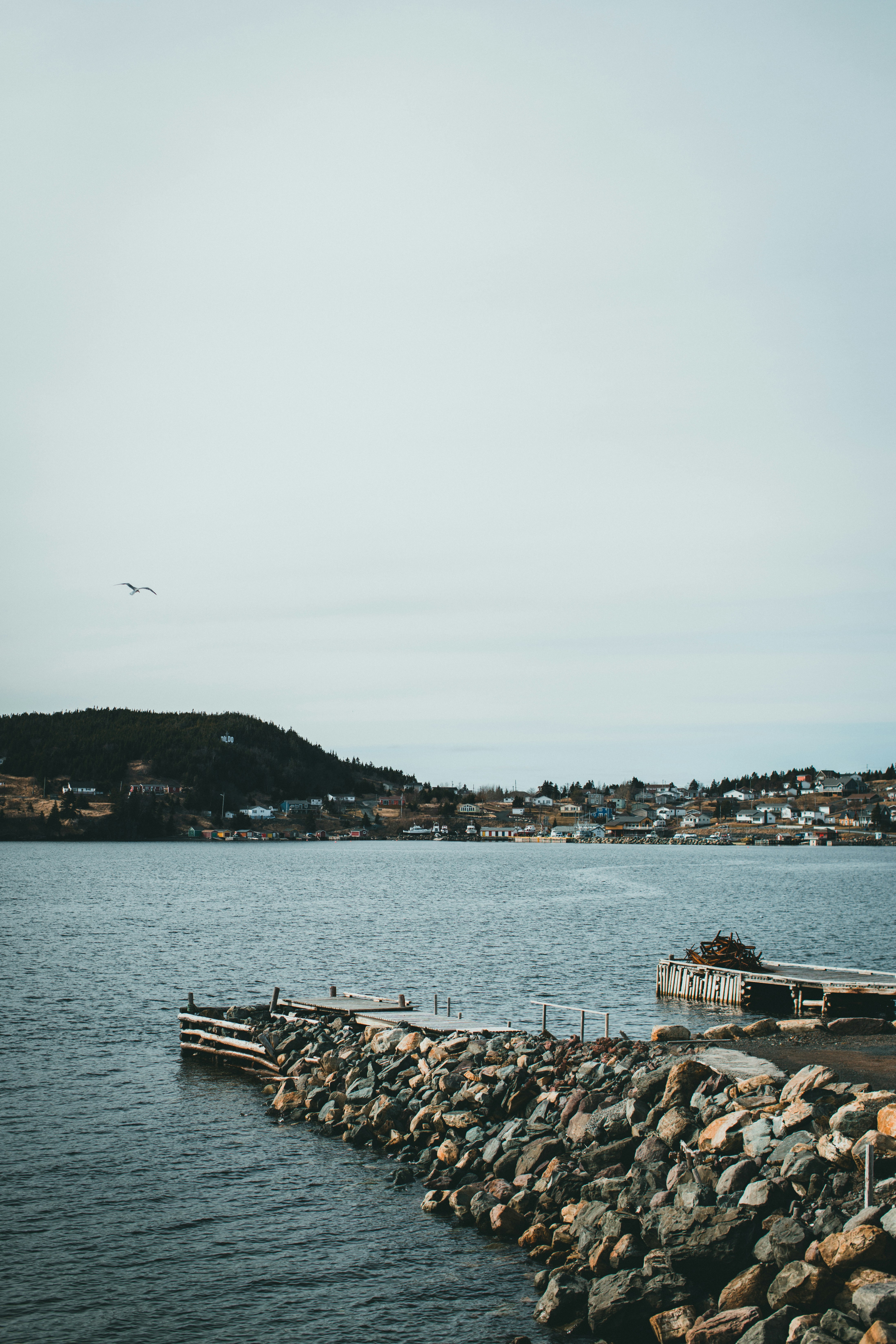 Photo by theshuttervision