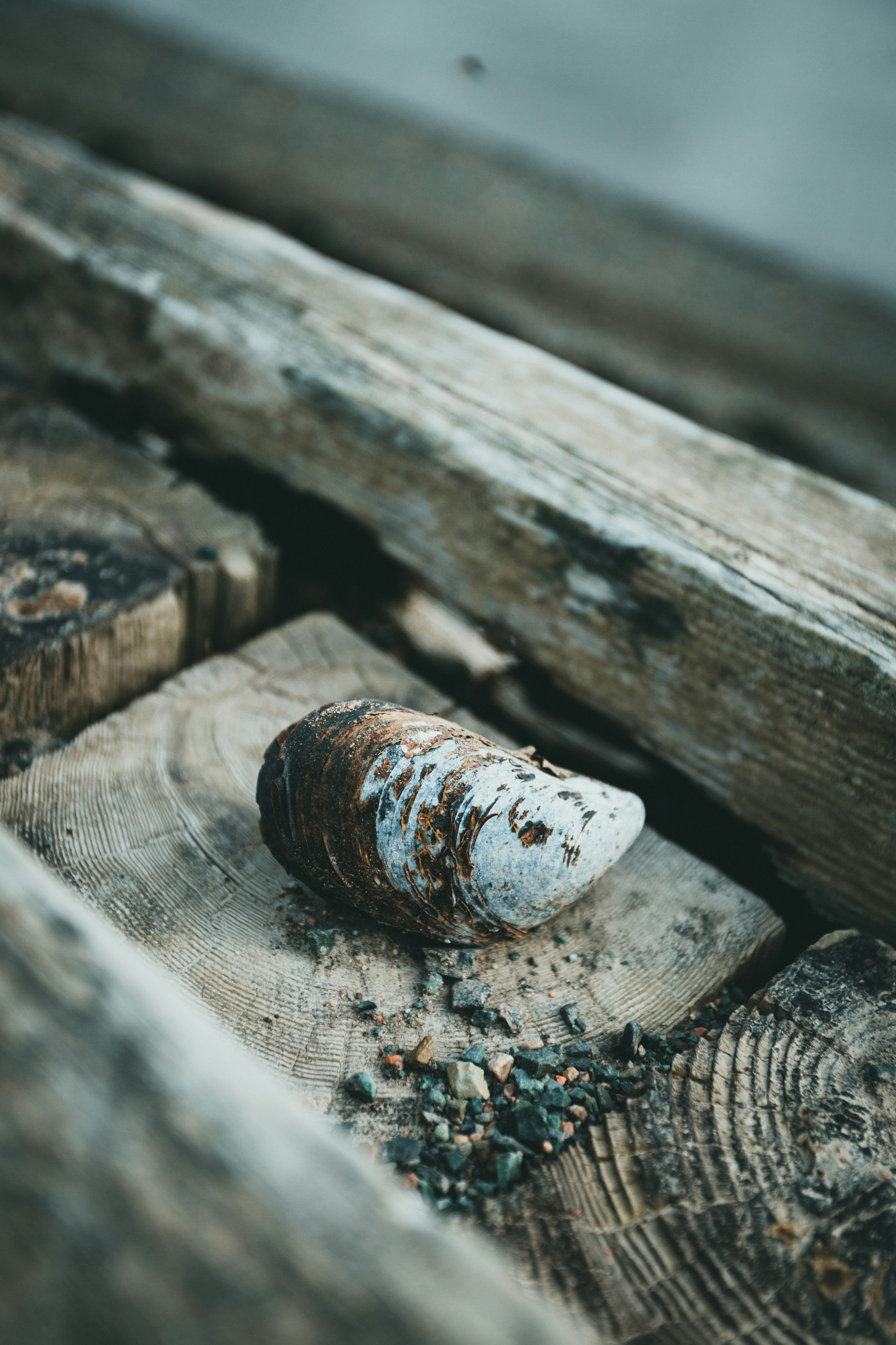 Photo by theshuttervision