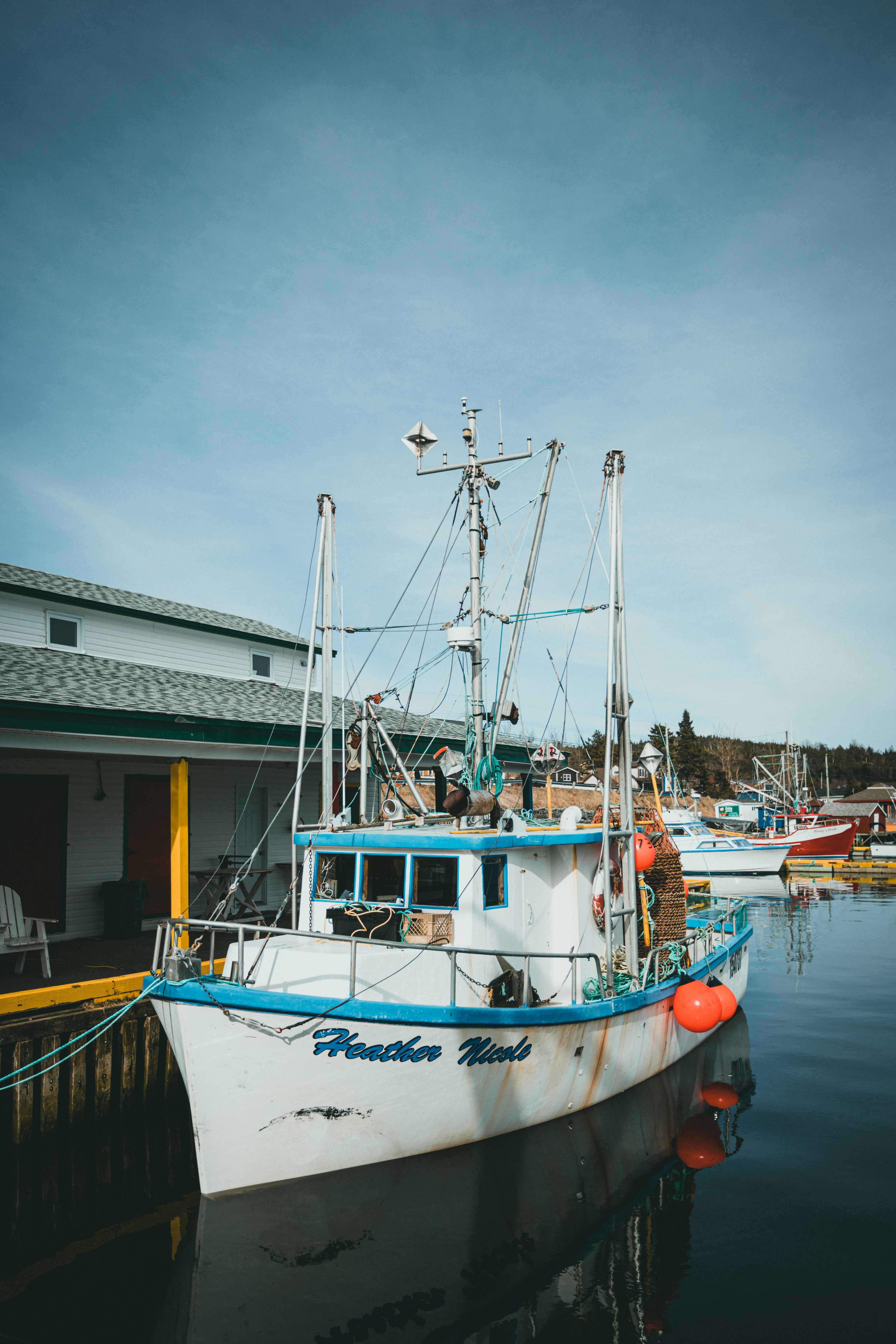 Photo by theshuttervision