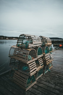 Stacks of sturdy fishing rods leaning against a weathered dock by the water.