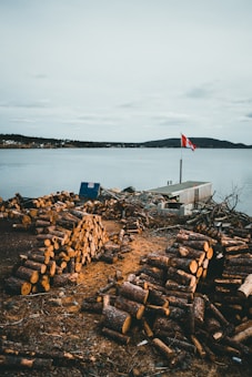 A serene lakeside scene with stacks of cut logs in the foreground. A dock extends into the calm water, with a red and white flag raised on a pole. The background features distant hills under a cloudy sky.