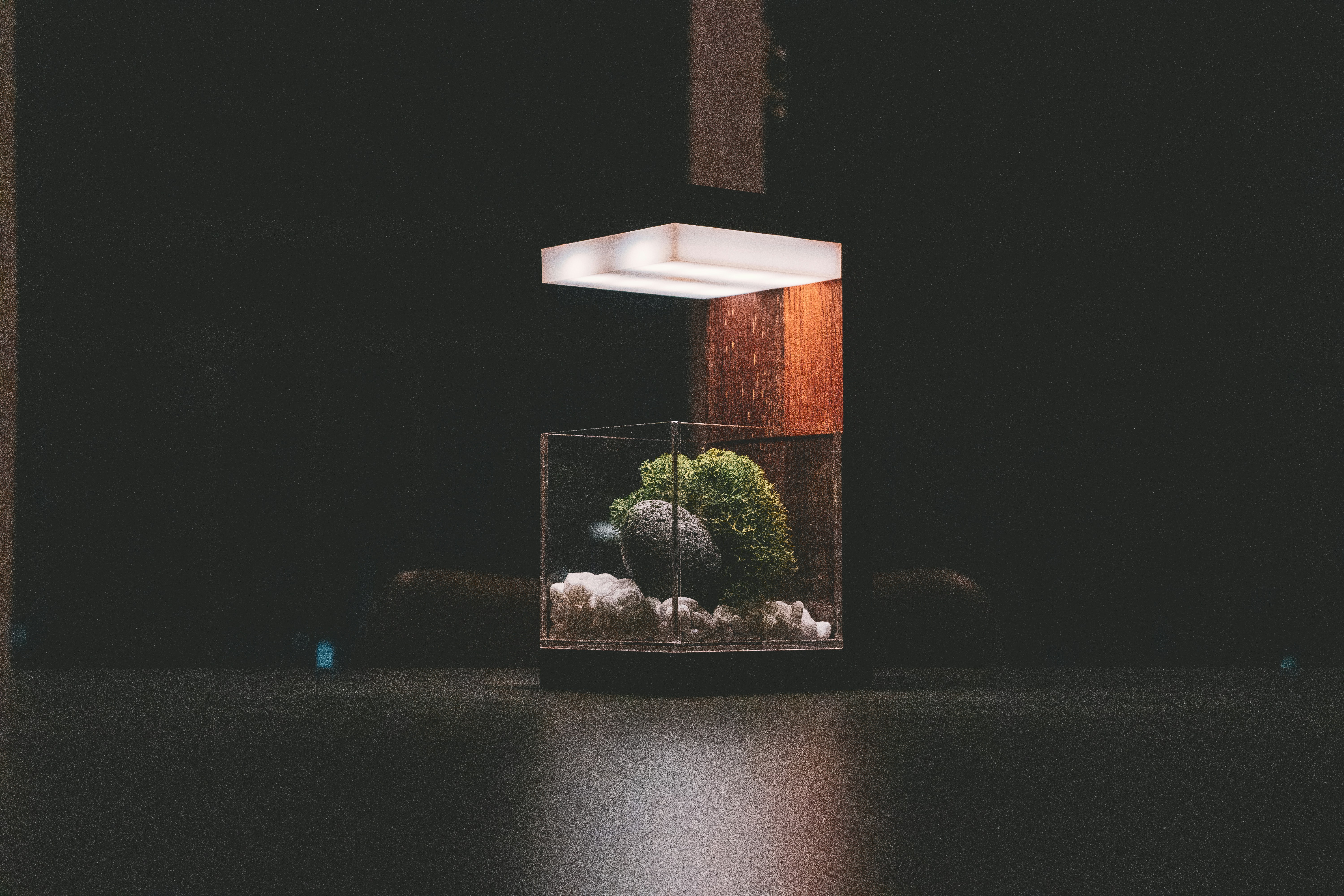Best Filters for Small Aquariums: Expert Guide & Reviews