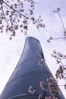 a tall building with a lot of pink flowers on it