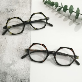 Two pairs of hexagonal eyeglasses with thick, patterned frames are placed on a textured gray and white surface. A sprig of green eucalyptus leaves lies next to the glasses, adding an organic element to the scene.