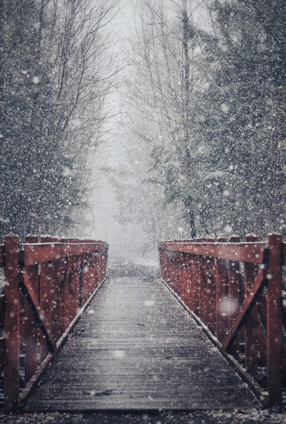 a bridge that has snow falling on it