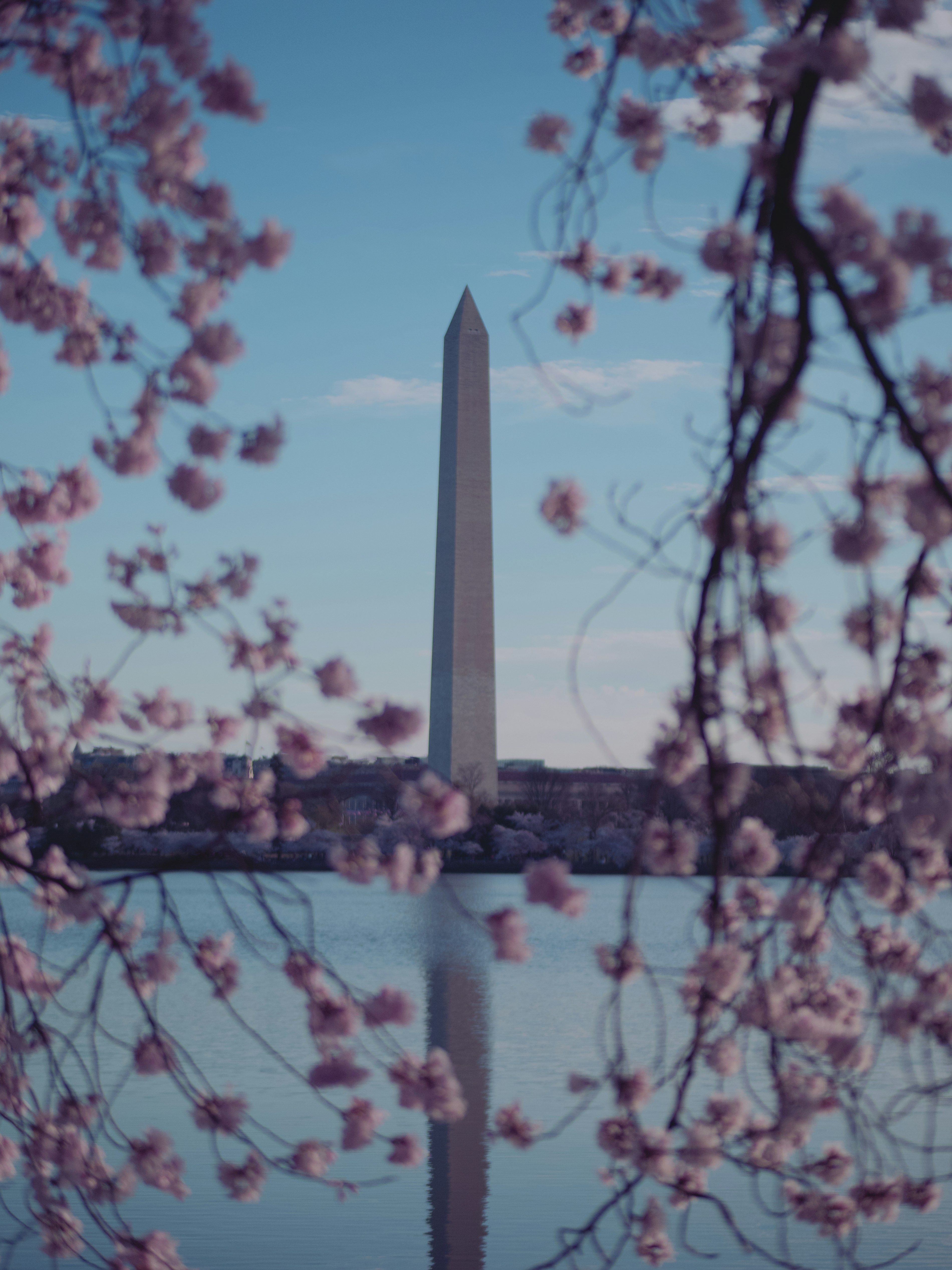 Photo by aaronburden