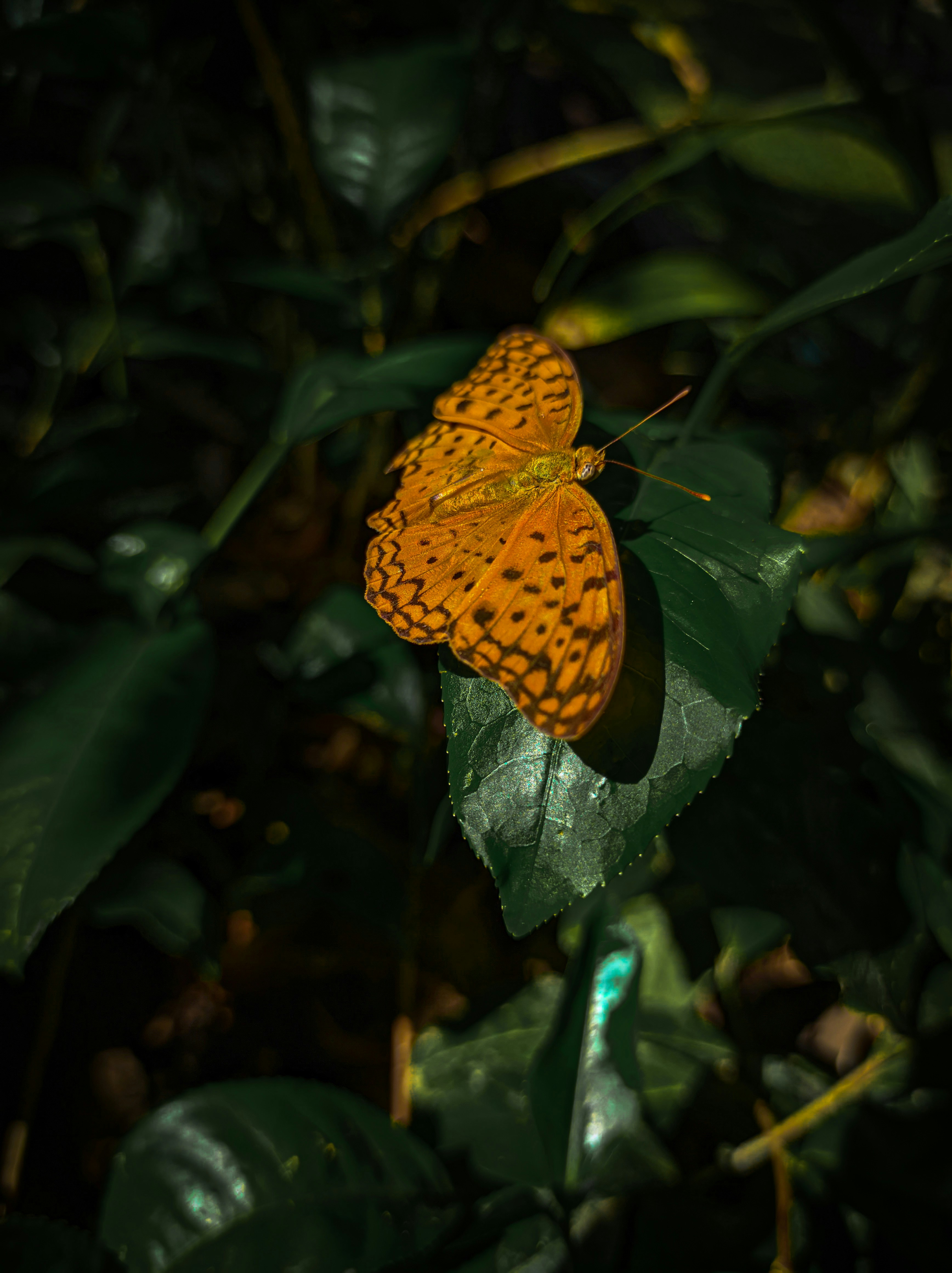 Photo by alwiz_2003
