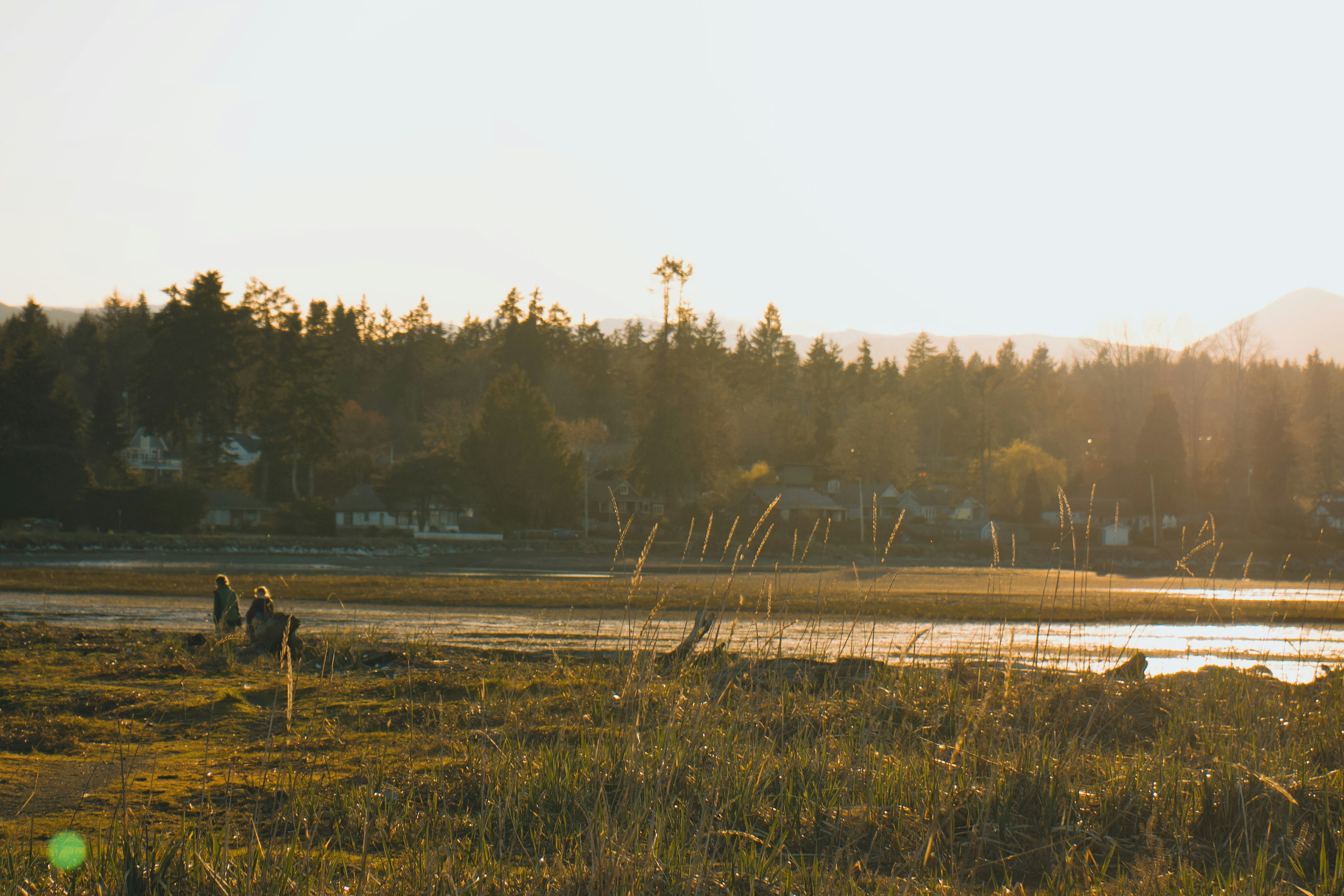 Photo by colefreeman