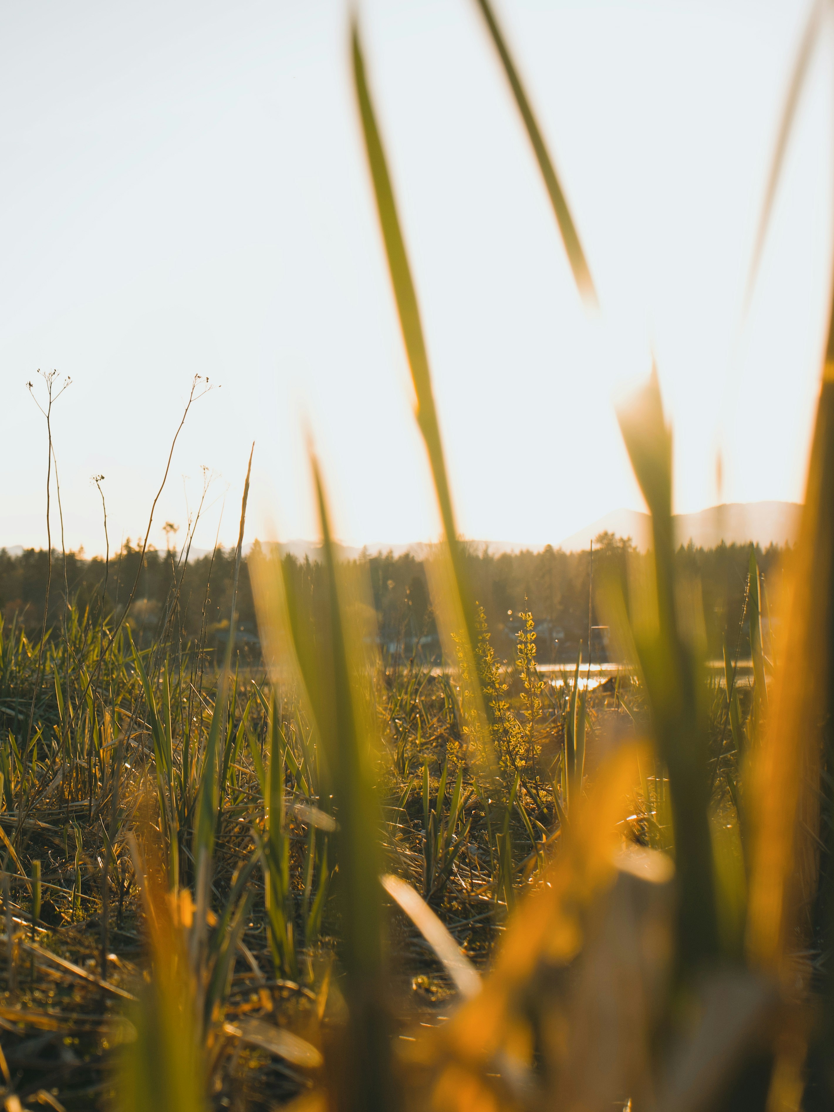 Photo by colefreeman