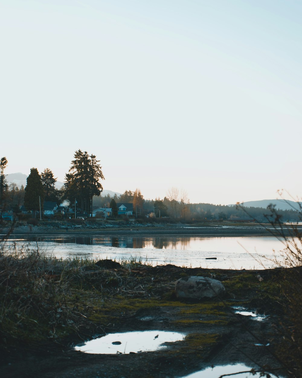 a body of water surrounded by a forest