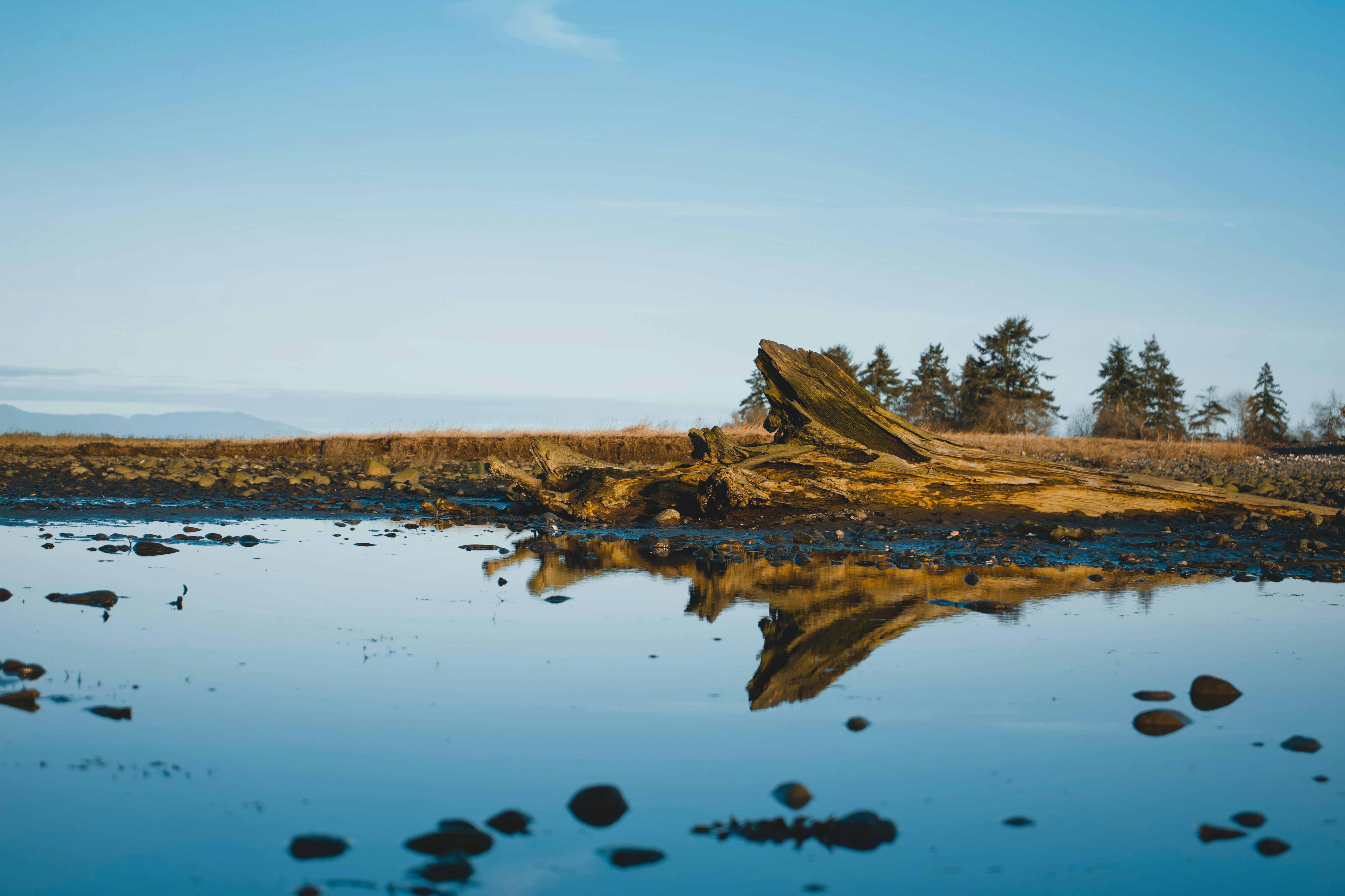 Photo by colefreeman