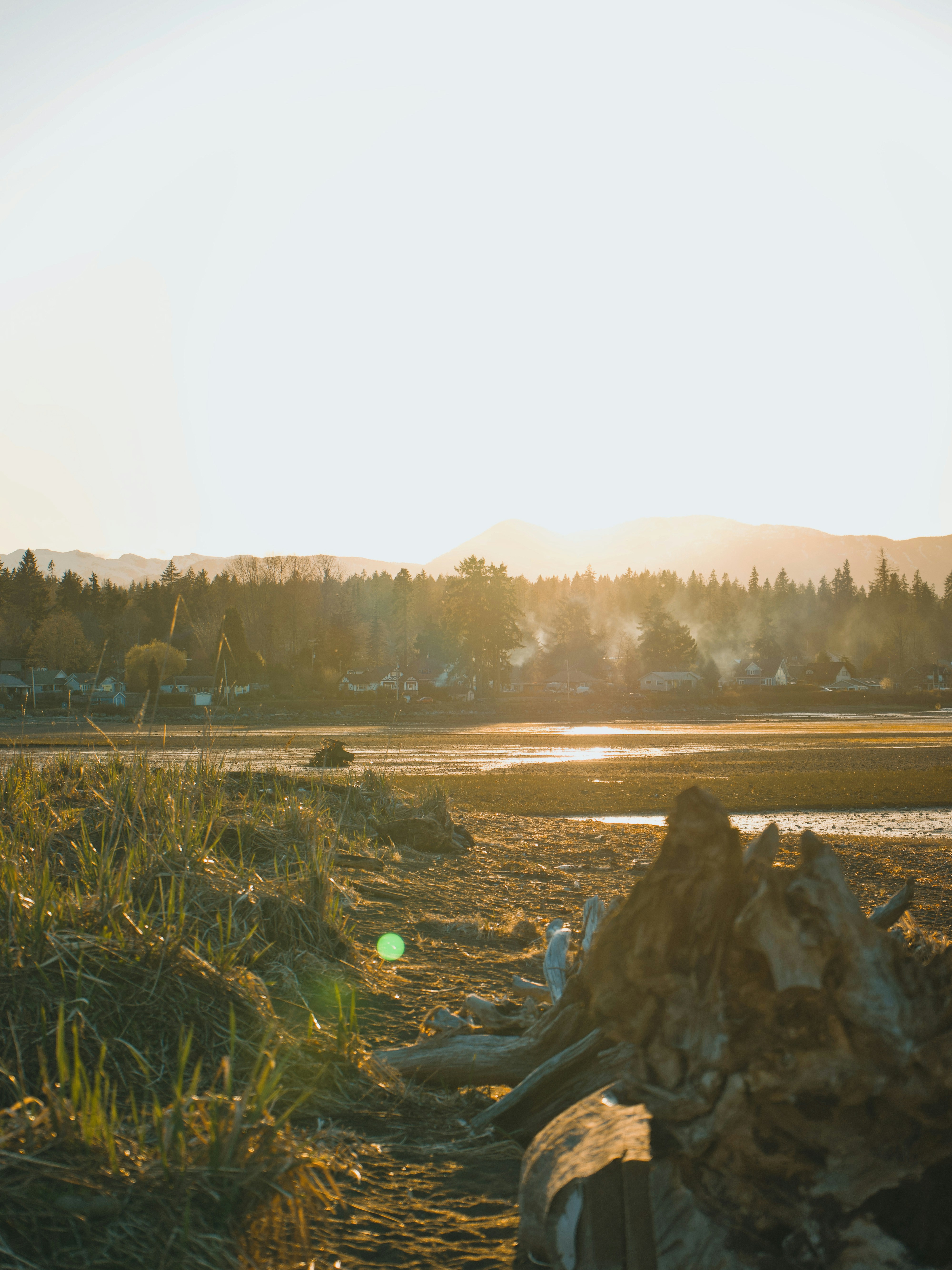 Photo by colefreeman