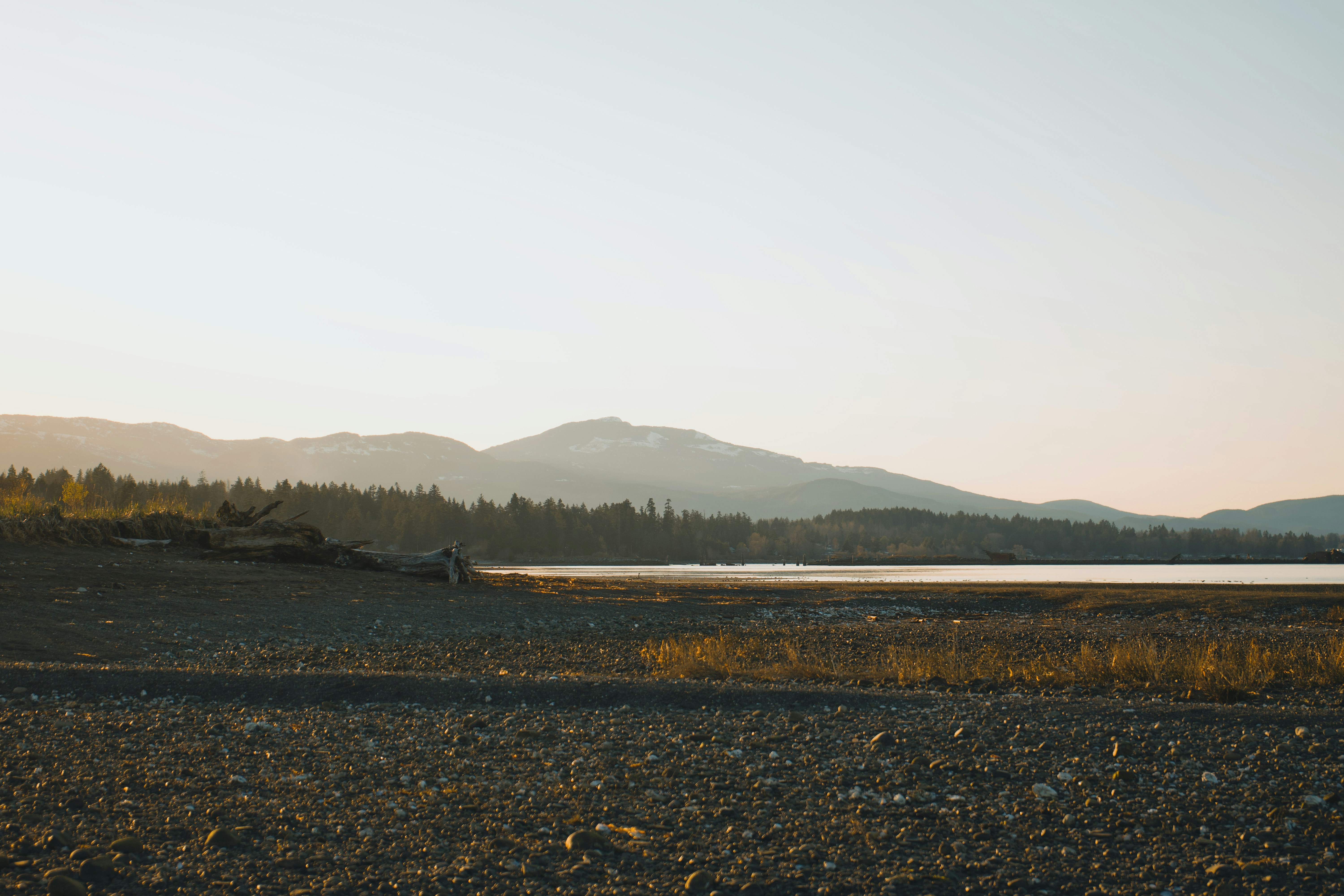 Photo by colefreeman