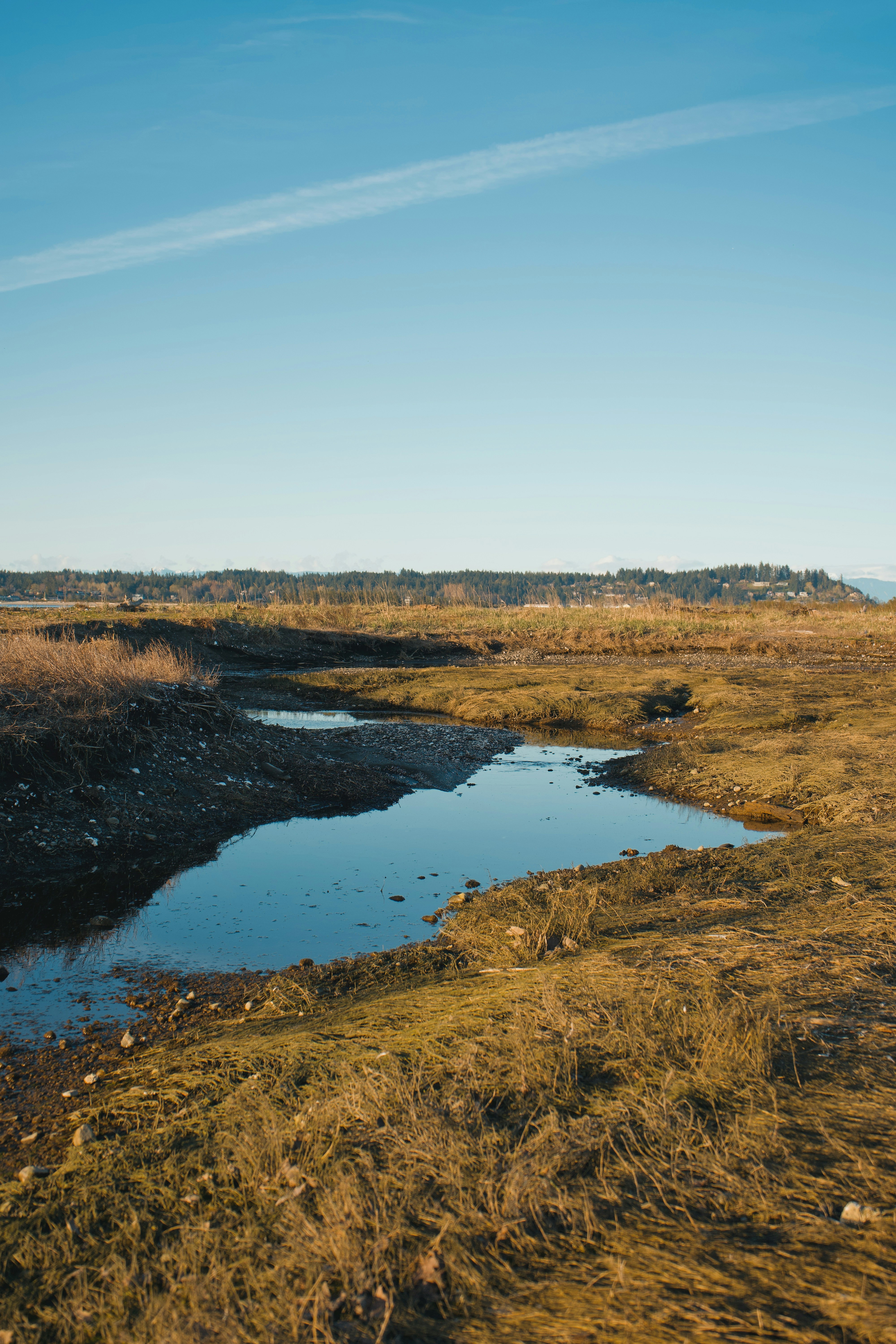 a small body of water sitting in a dry grass field